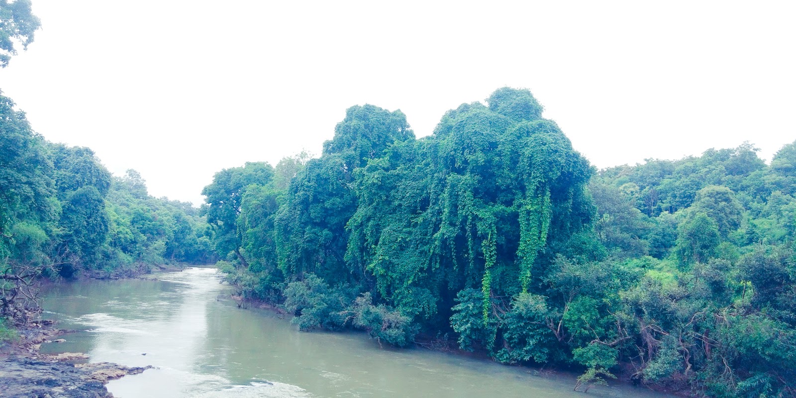 Malaprabha River