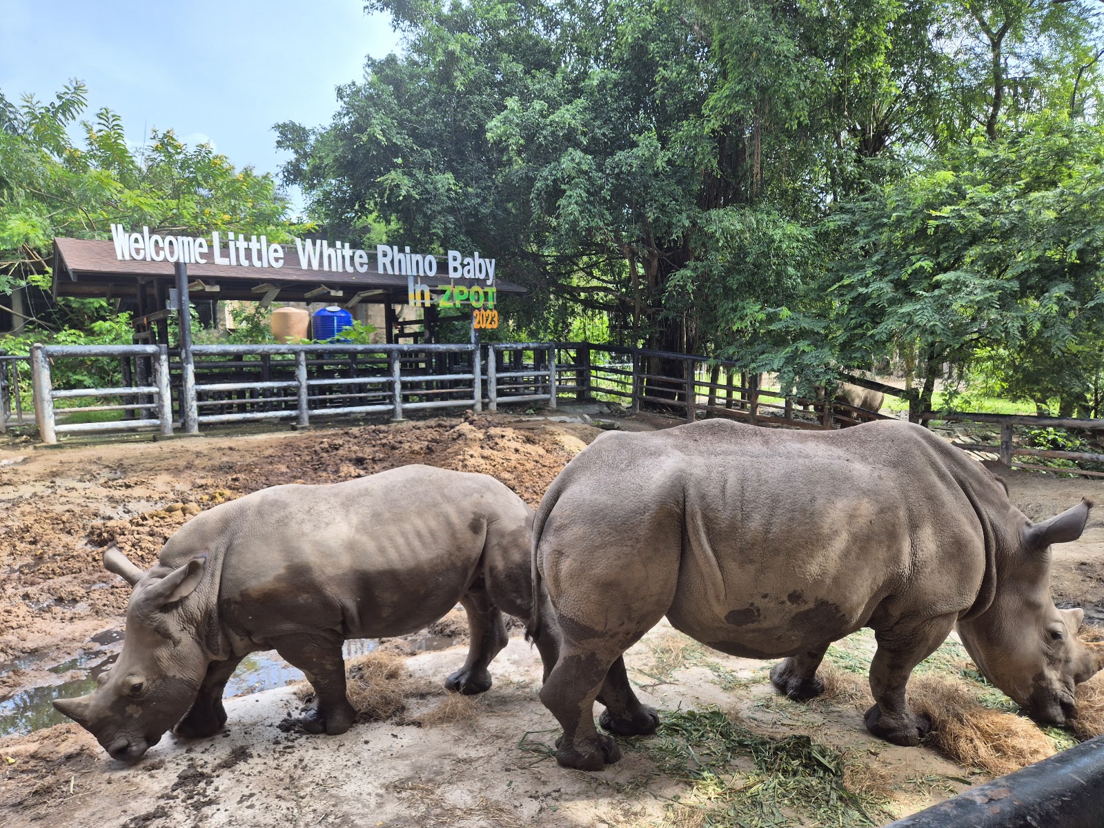 Khao Kheow Open Zoo
