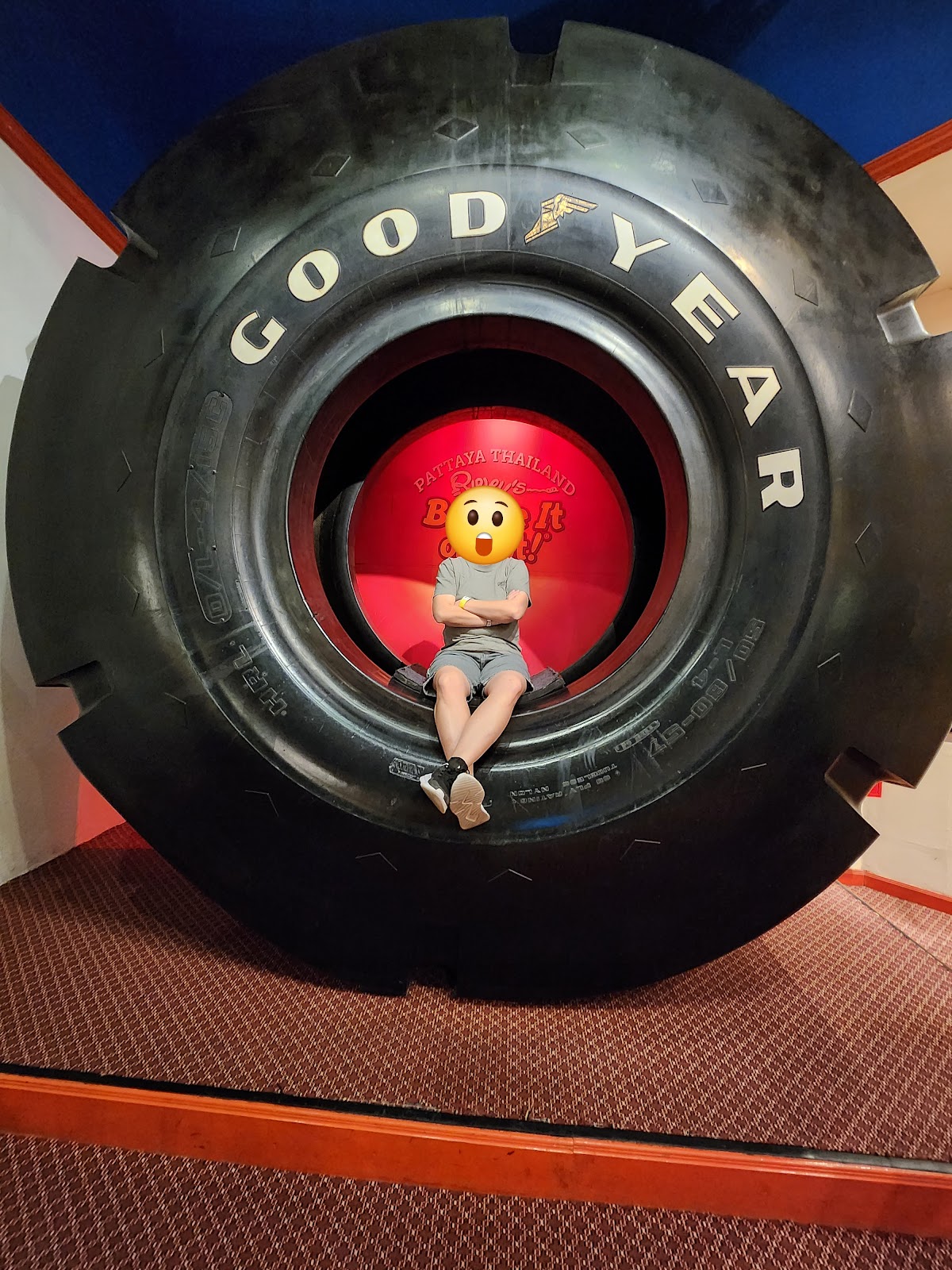 Ripley's Believe It or Not!