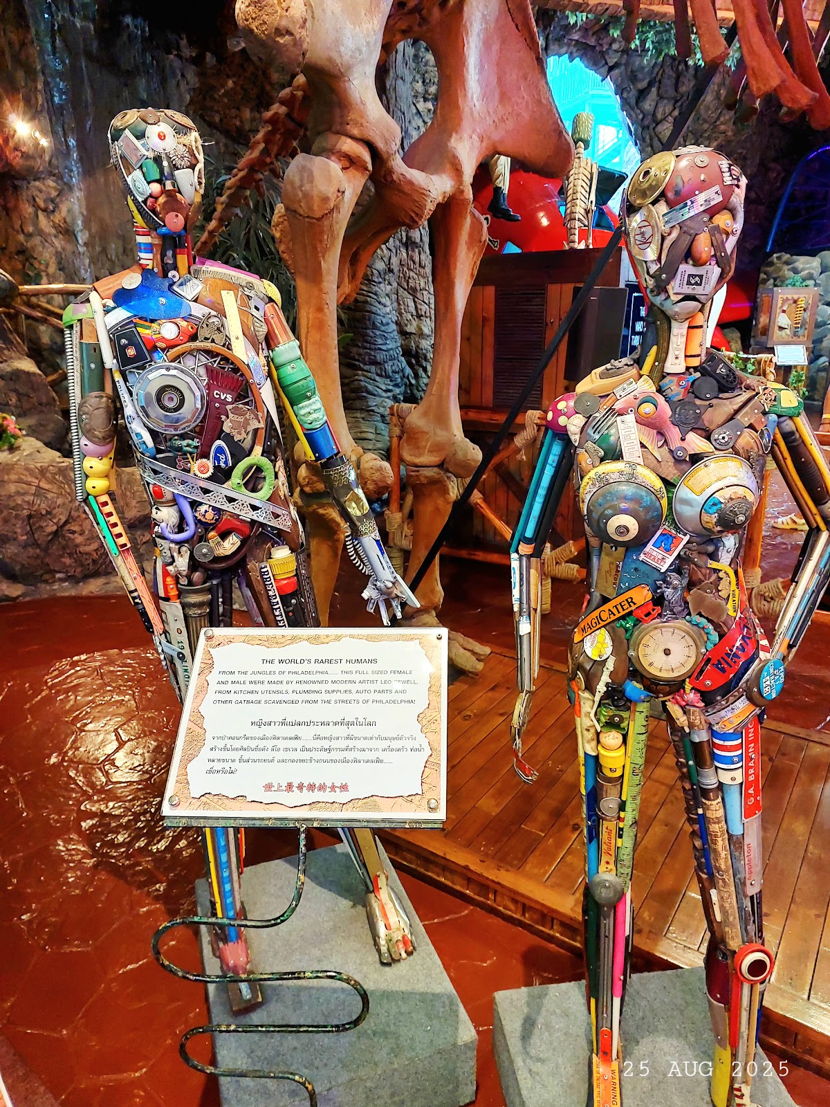 Ripley's Believe It or Not!