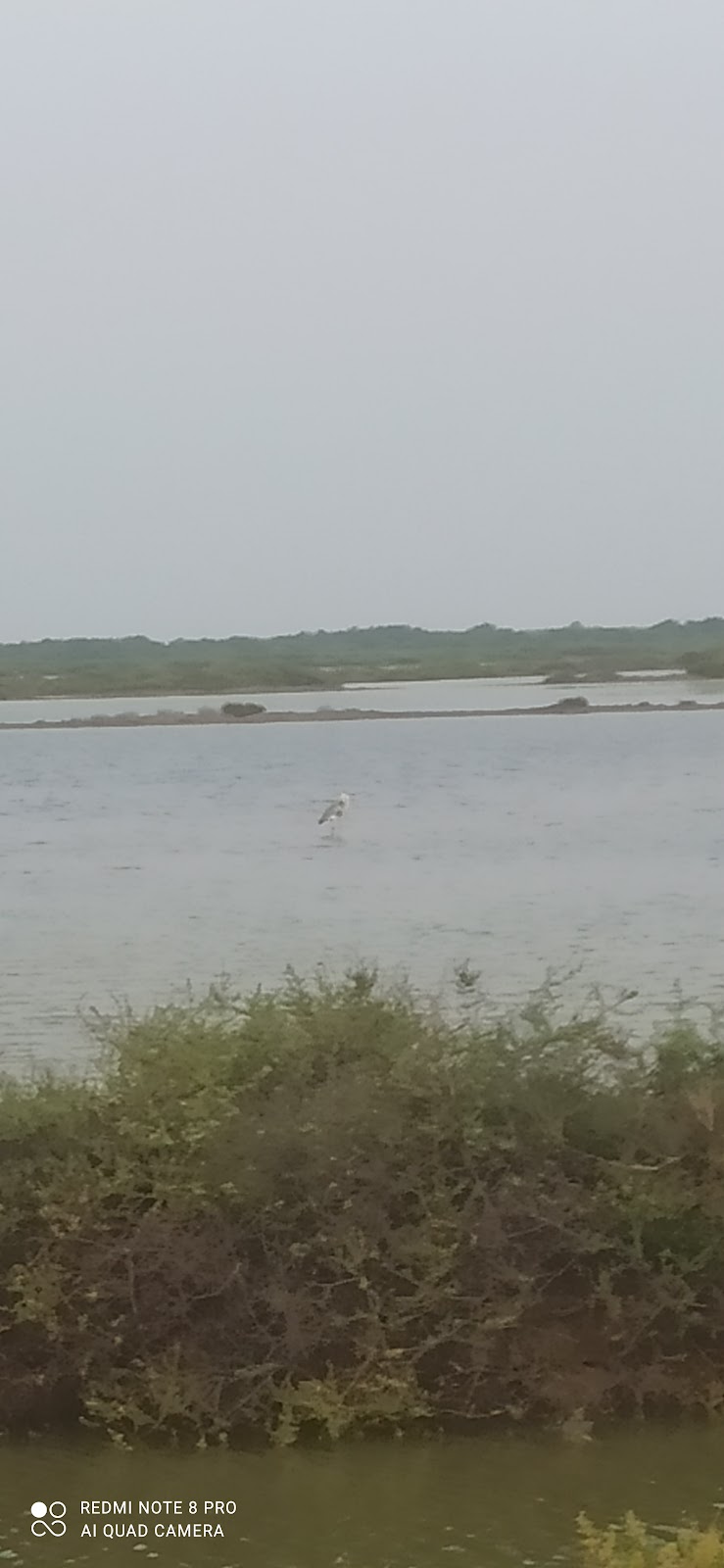 Adirampattinam Beach