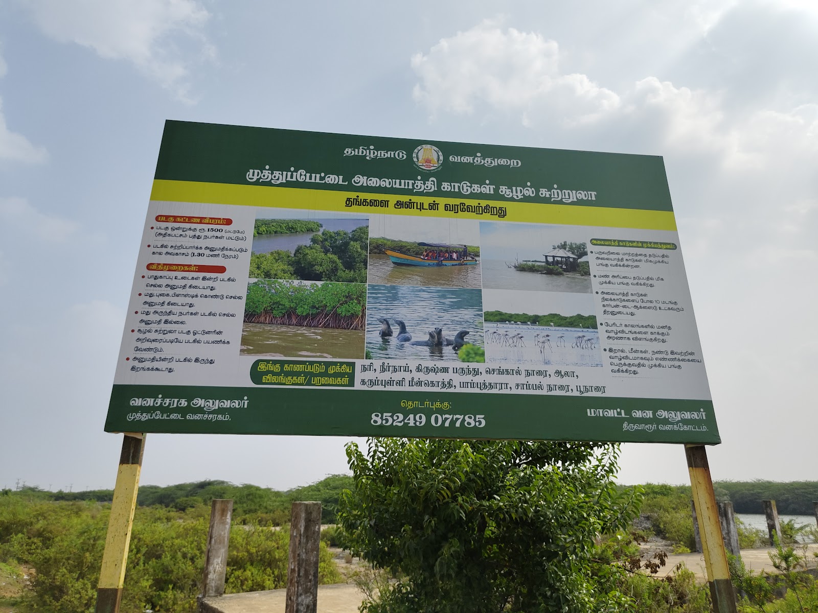 Muthupet Mangrove Lagoon