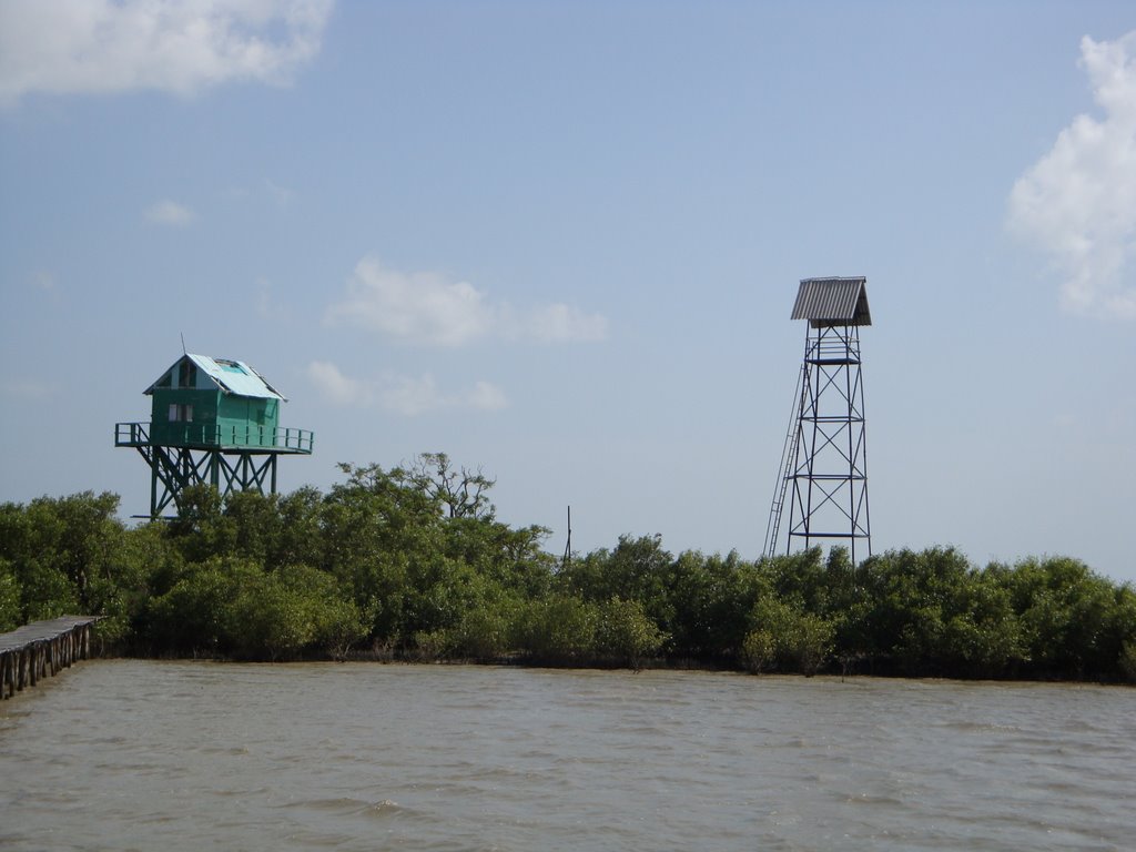 Muthupet Mangrove Lagoon