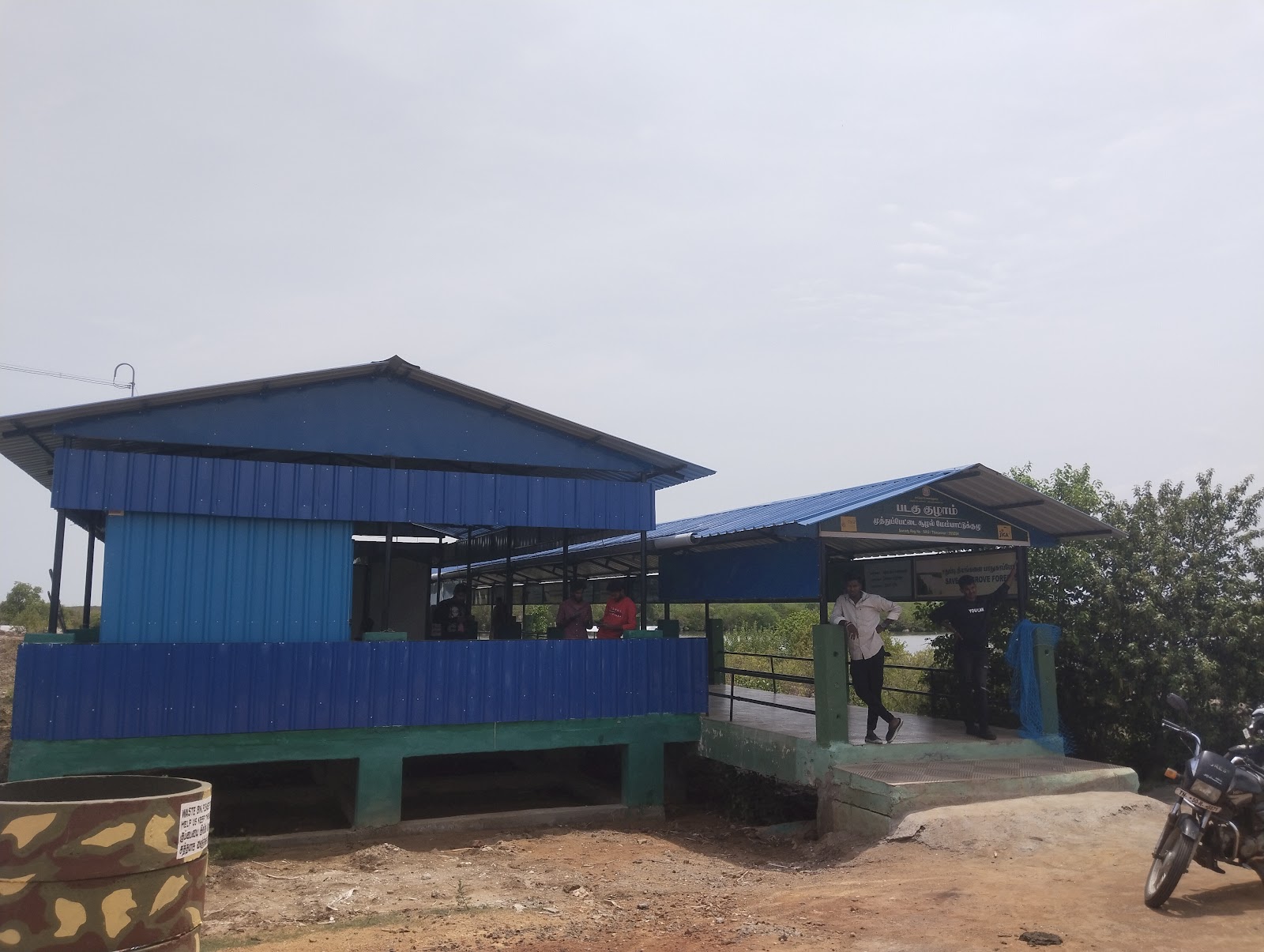 Muthupet Mangrove Lagoon