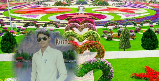 Market Lane Heritage Walk