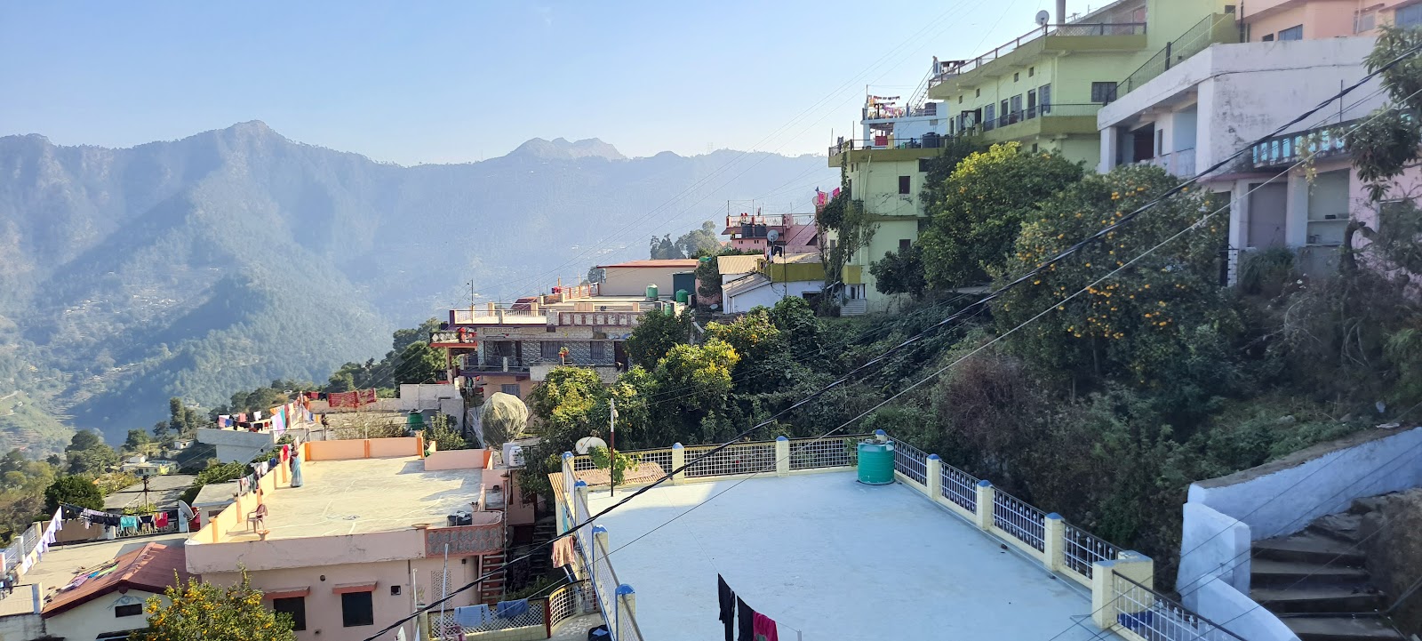 Pauri
