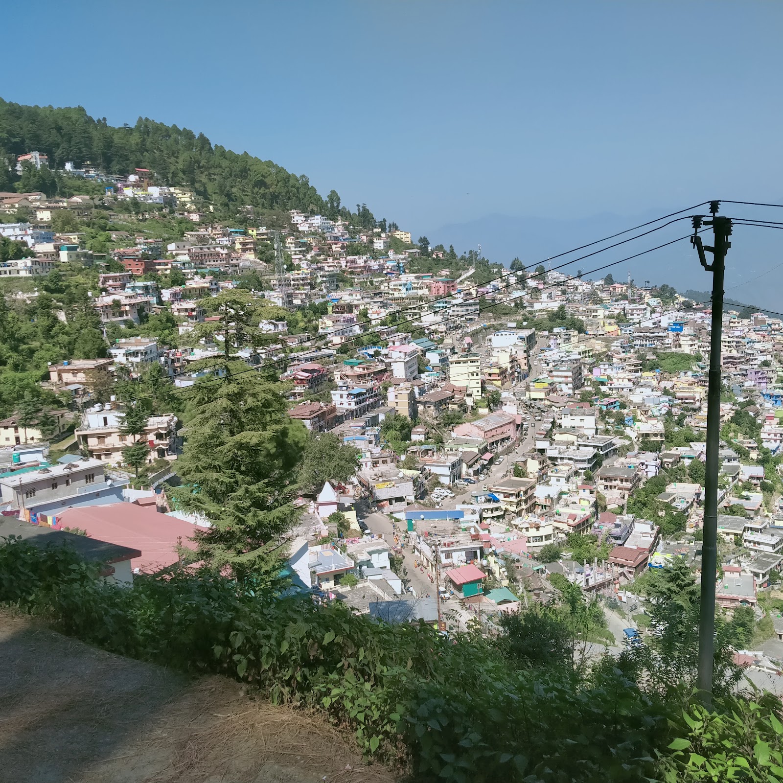 Pauri