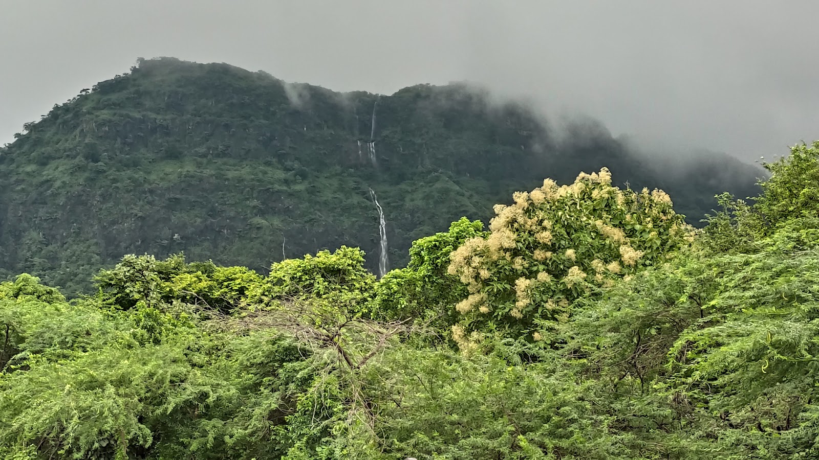 Old Stepwells and Baolis