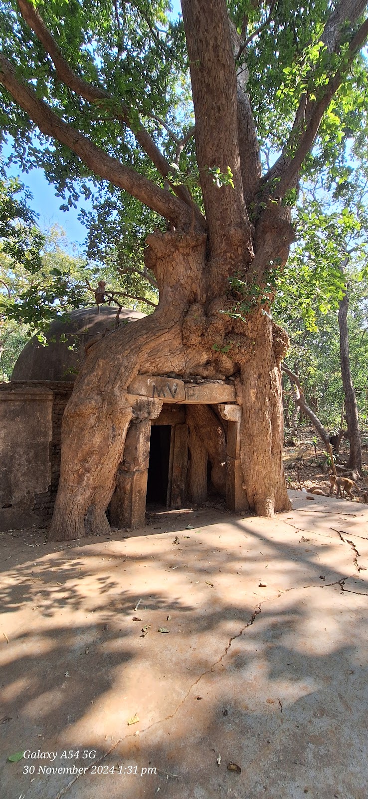 Jambughoda Wildlife Sanctuary