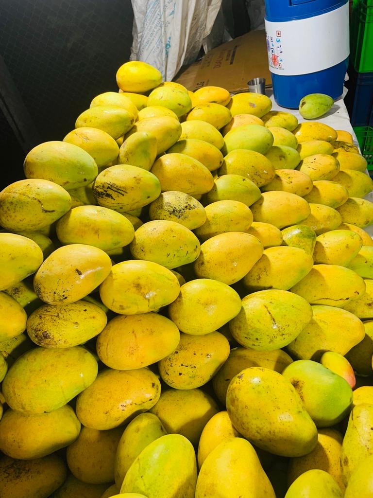 Mango Orchard Viewpoint