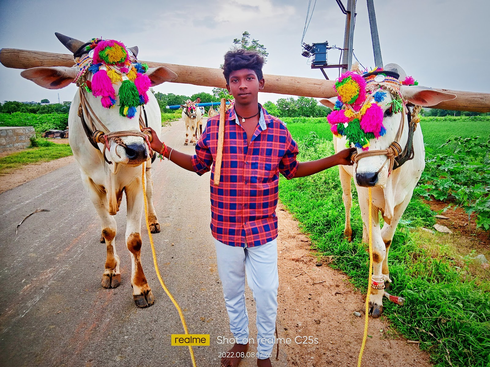 Village Walks and Countryside