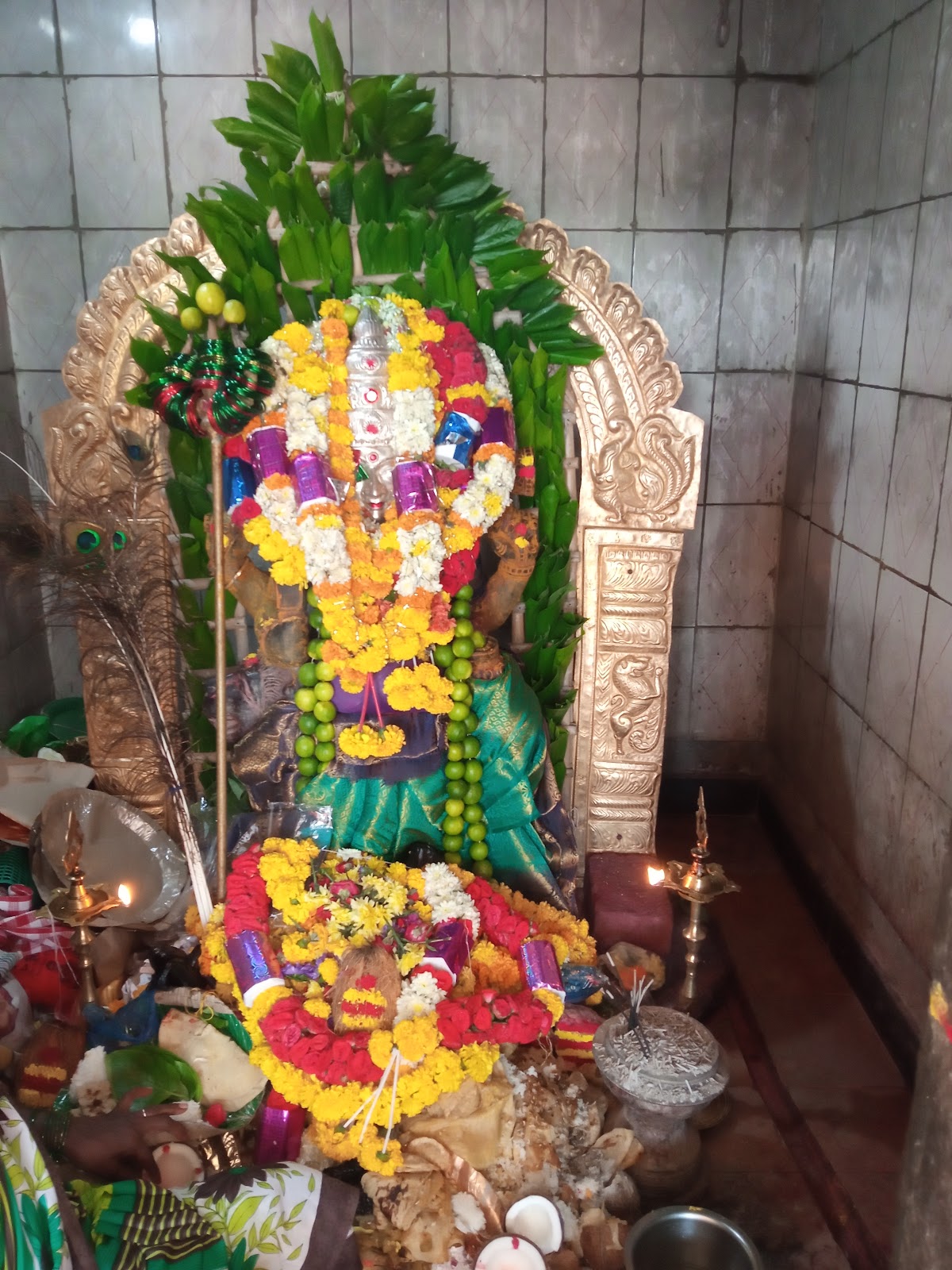 Village Walks and Countryside