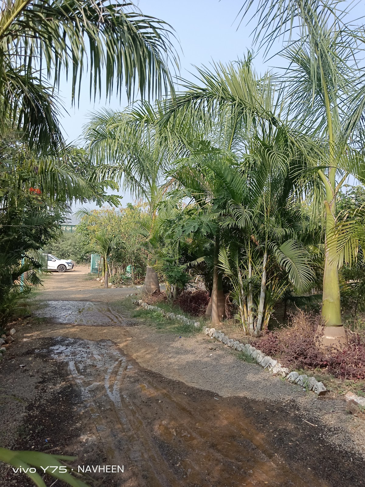 Community Temple Complex