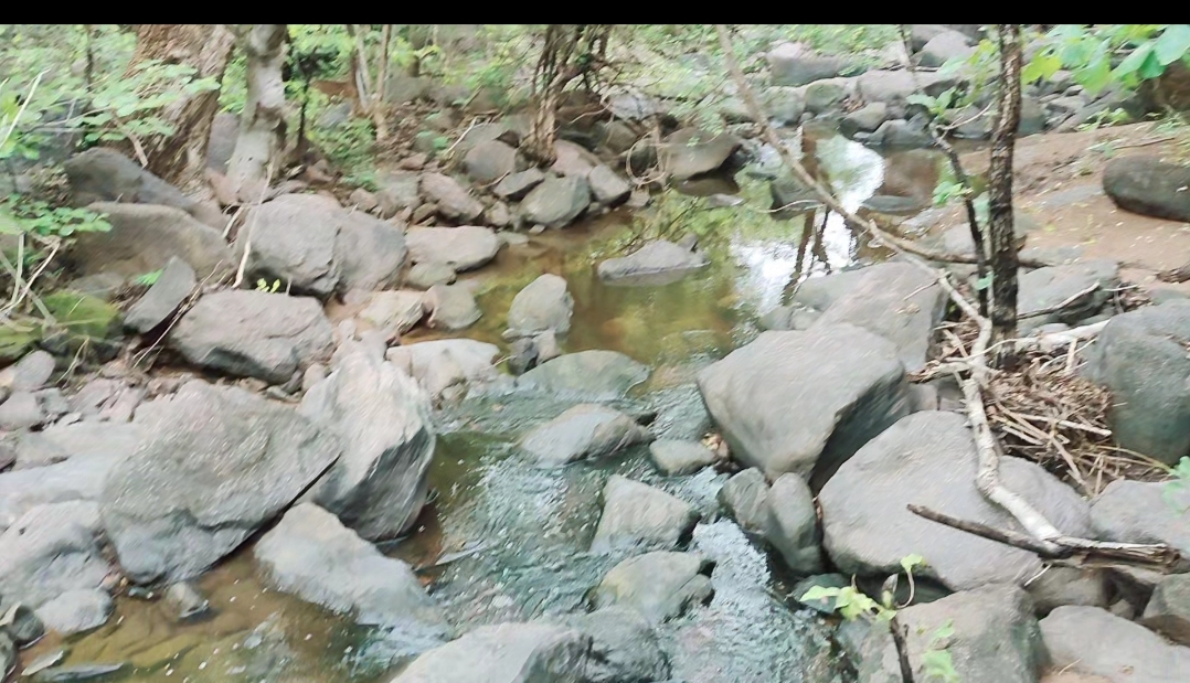 Village Nearby Nature Trail