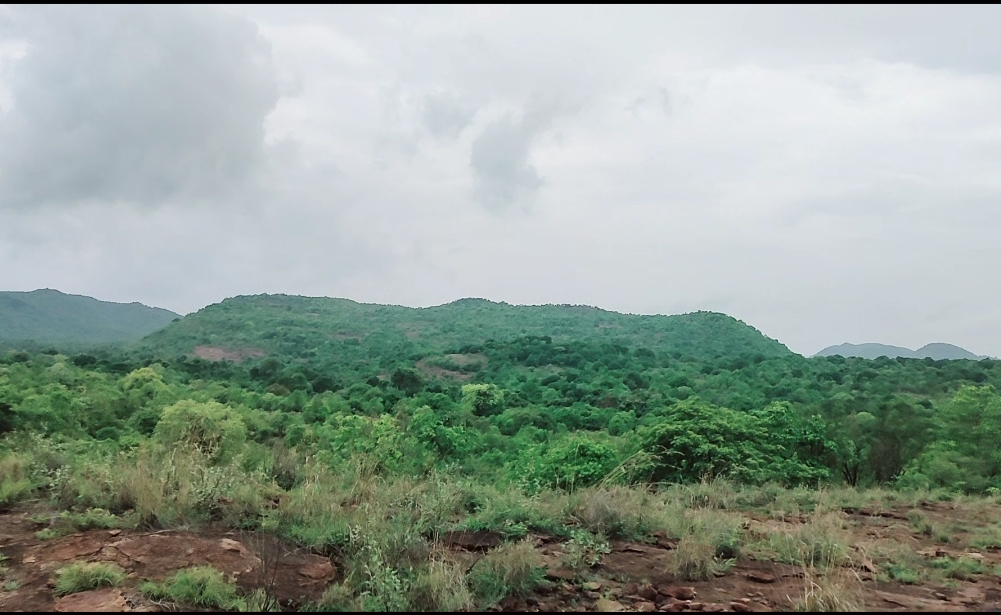Village Nearby Nature Trail