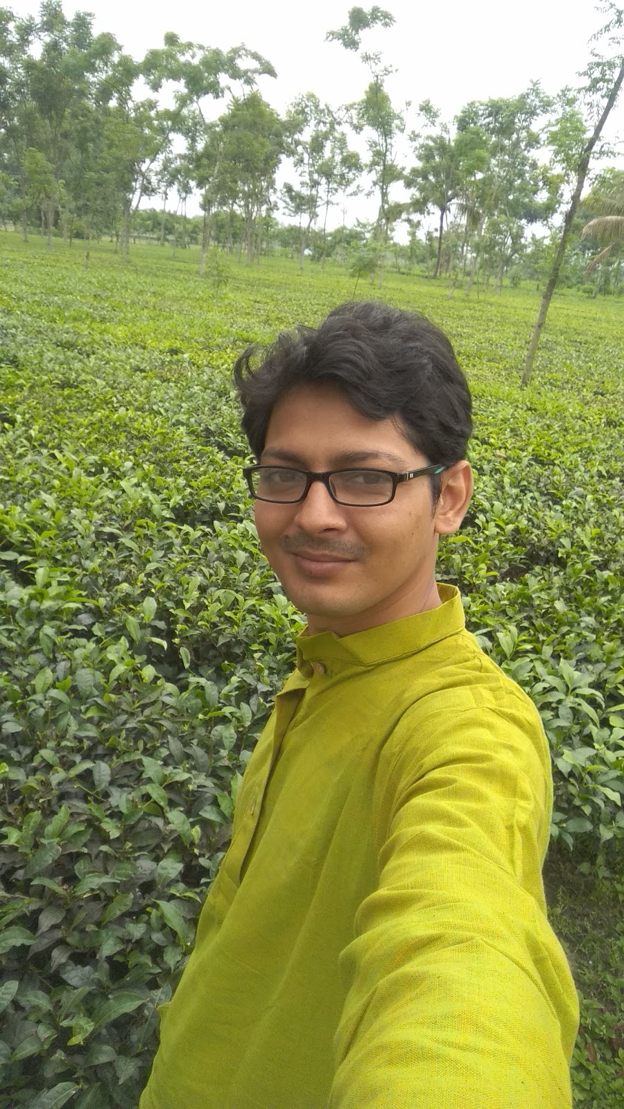 Local Tea Gardens