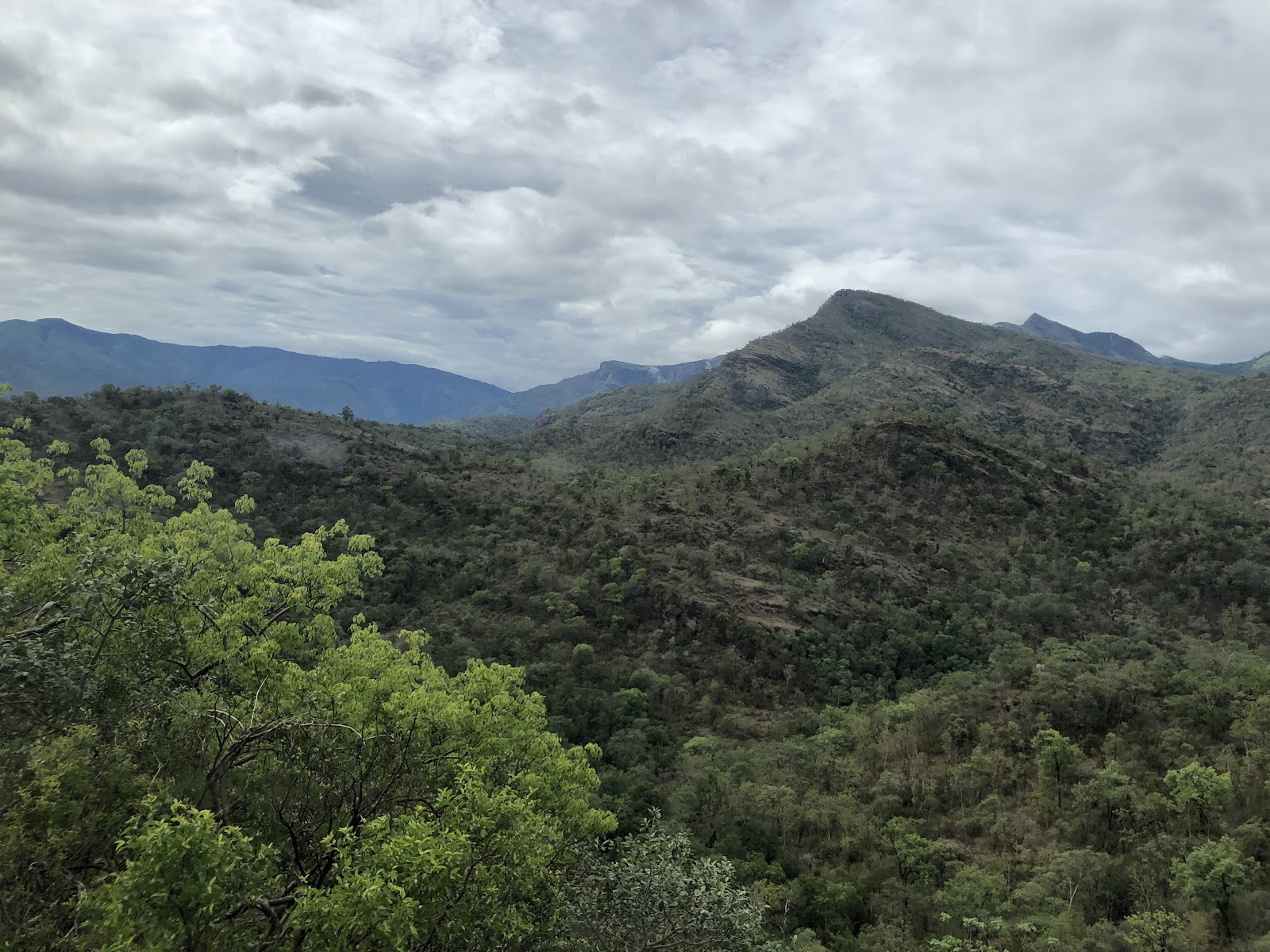 Chinnar Wildlife Sanctuary