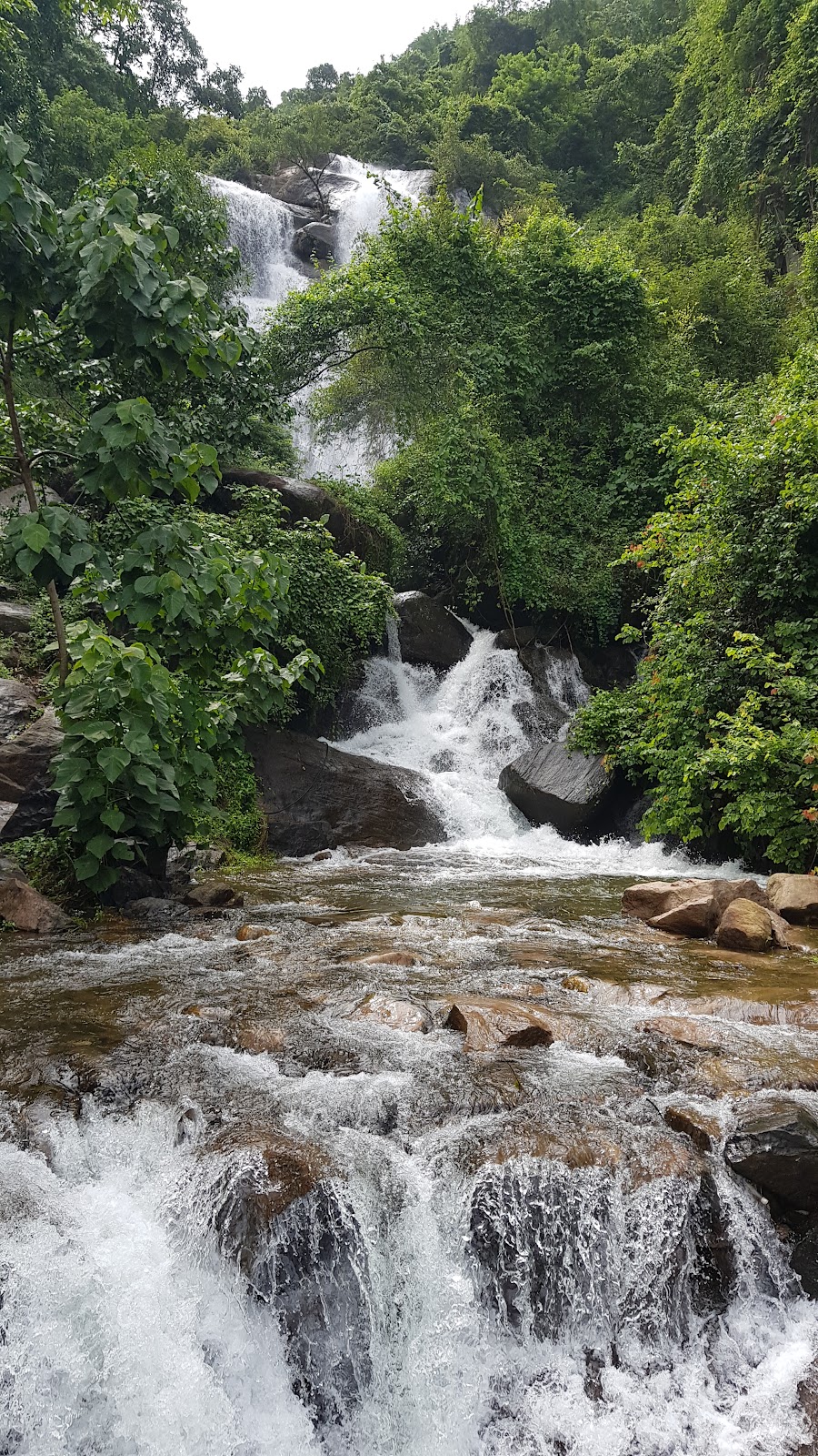 Kannimala Waterfalls