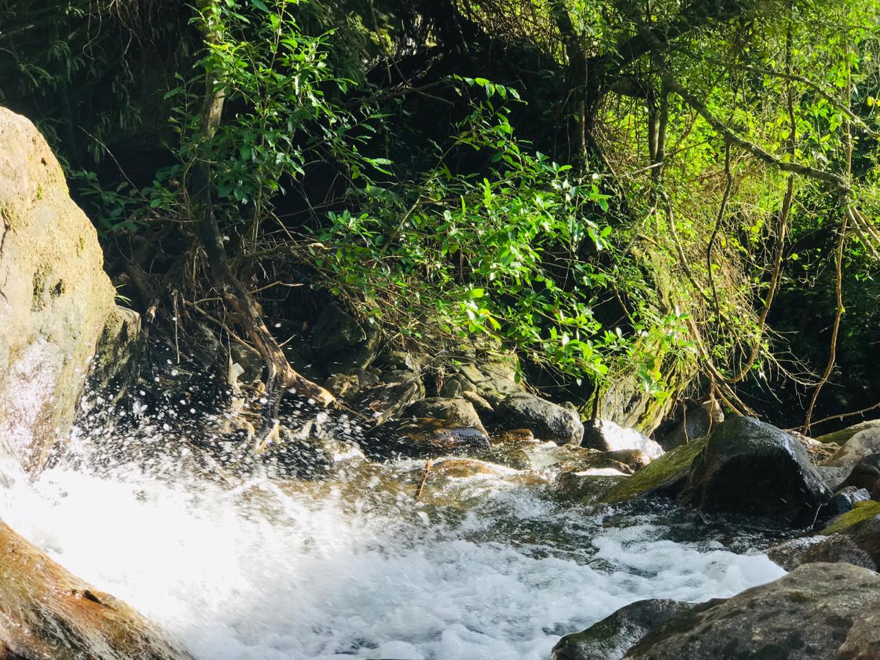 Kannimala Waterfalls
