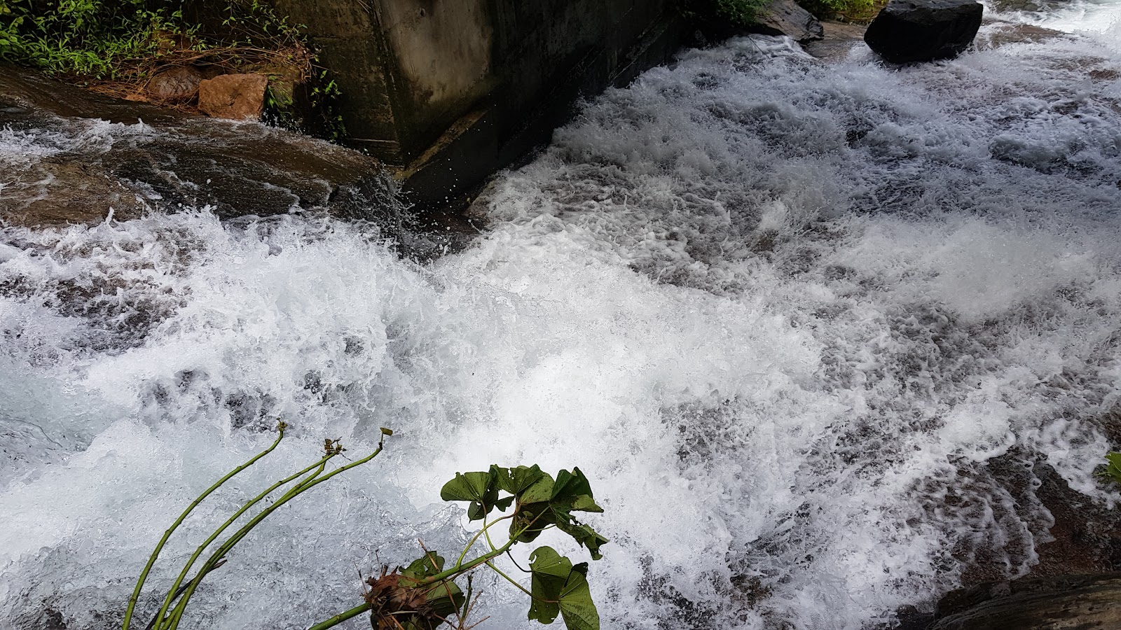 Kannimala Waterfalls