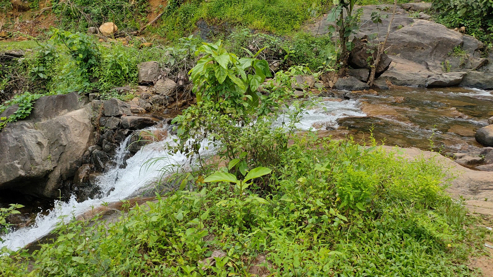 Kannimala Waterfalls