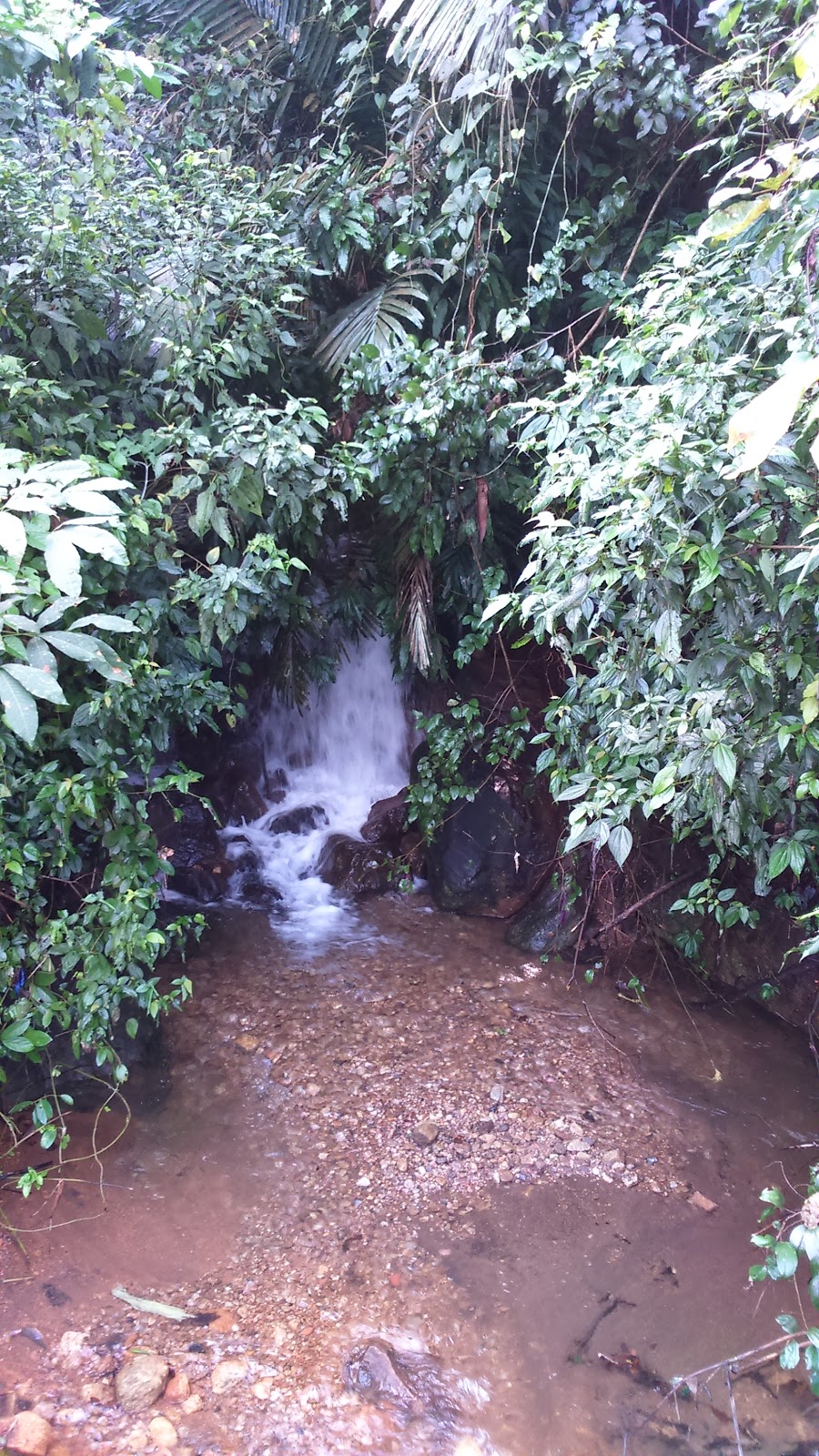 Kannimala Waterfalls