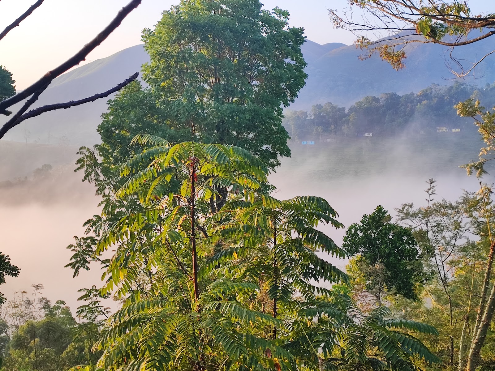 Mullaperiyar Dam Viewpoint