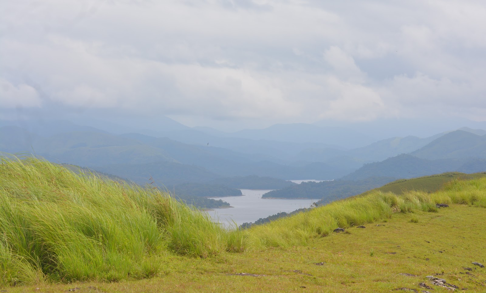 Mullaperiyar Dam Viewpoint