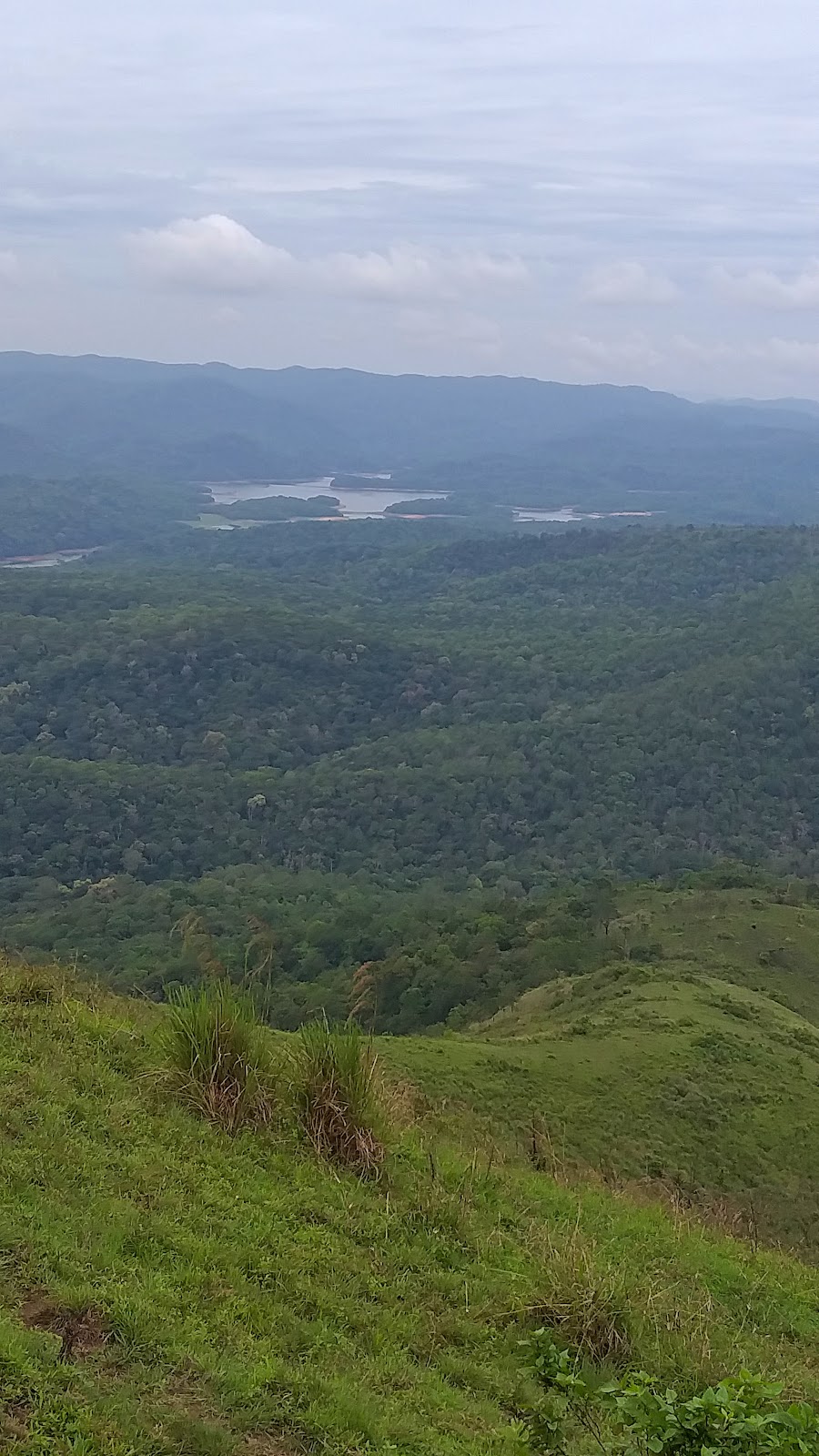 Mullaperiyar Dam Viewpoint