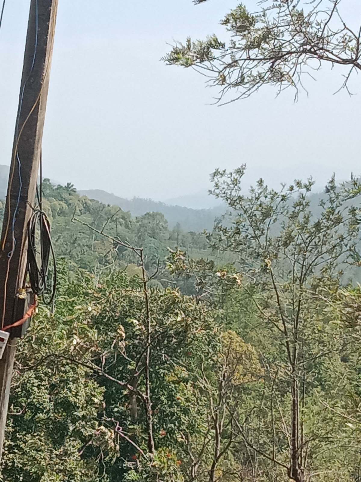 Mullaperiyar Dam Viewpoint