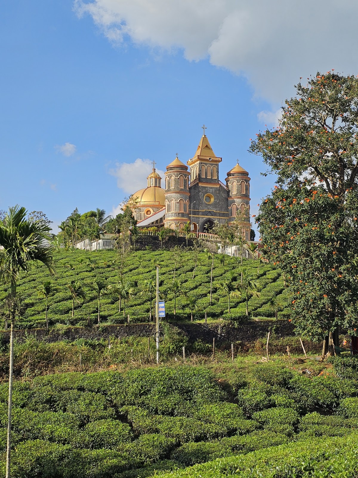 Peerumedu Tea Plantations