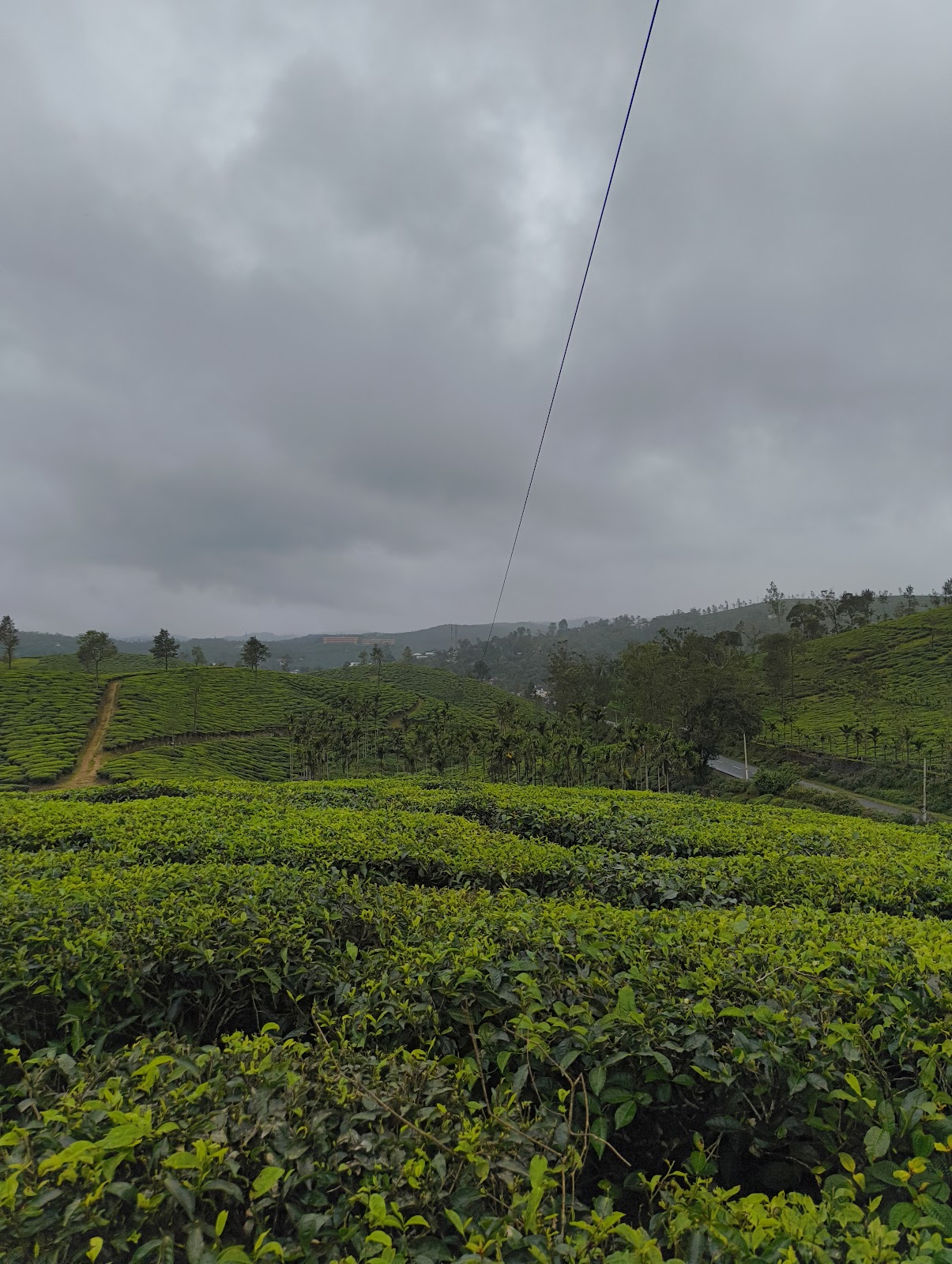Peerumedu Tea Plantations