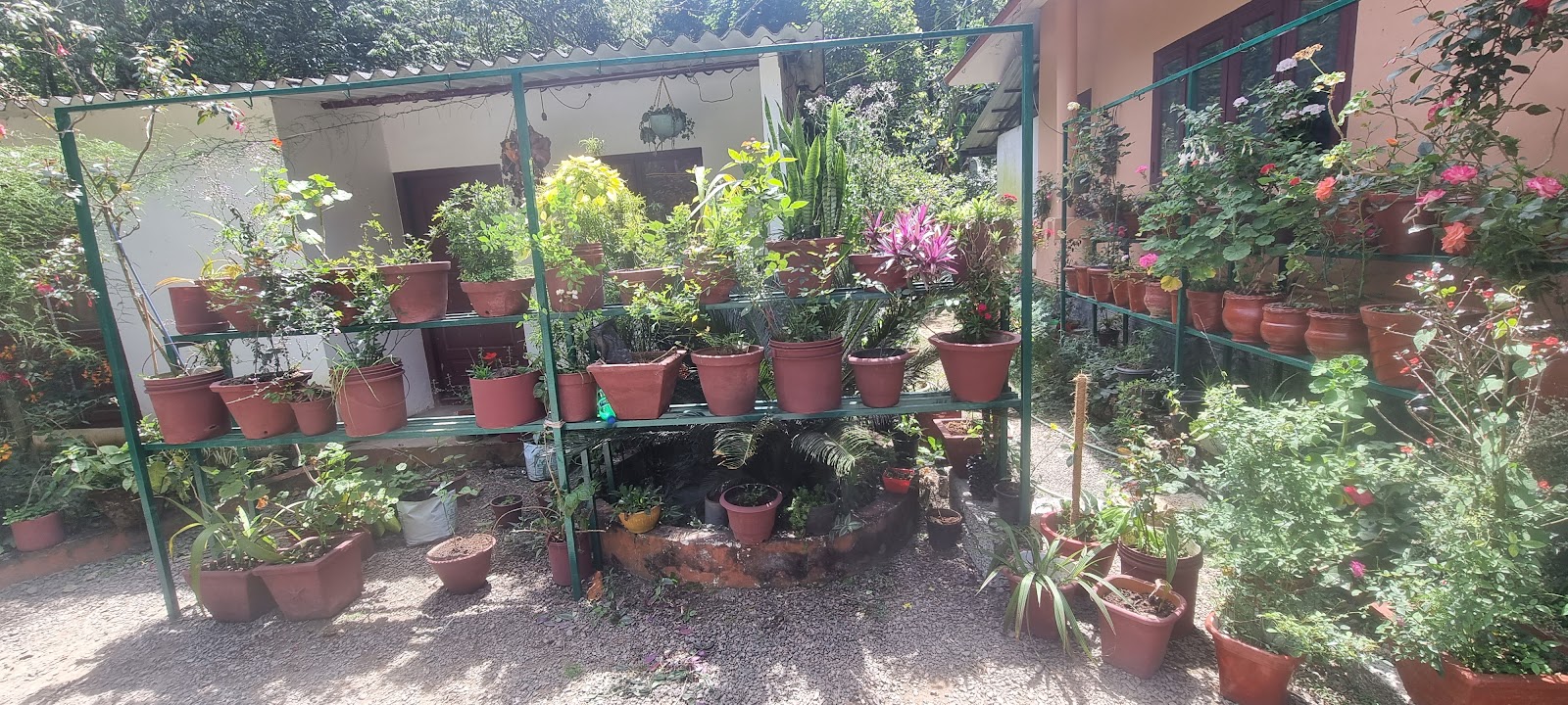 Pepper and Spice Gardens