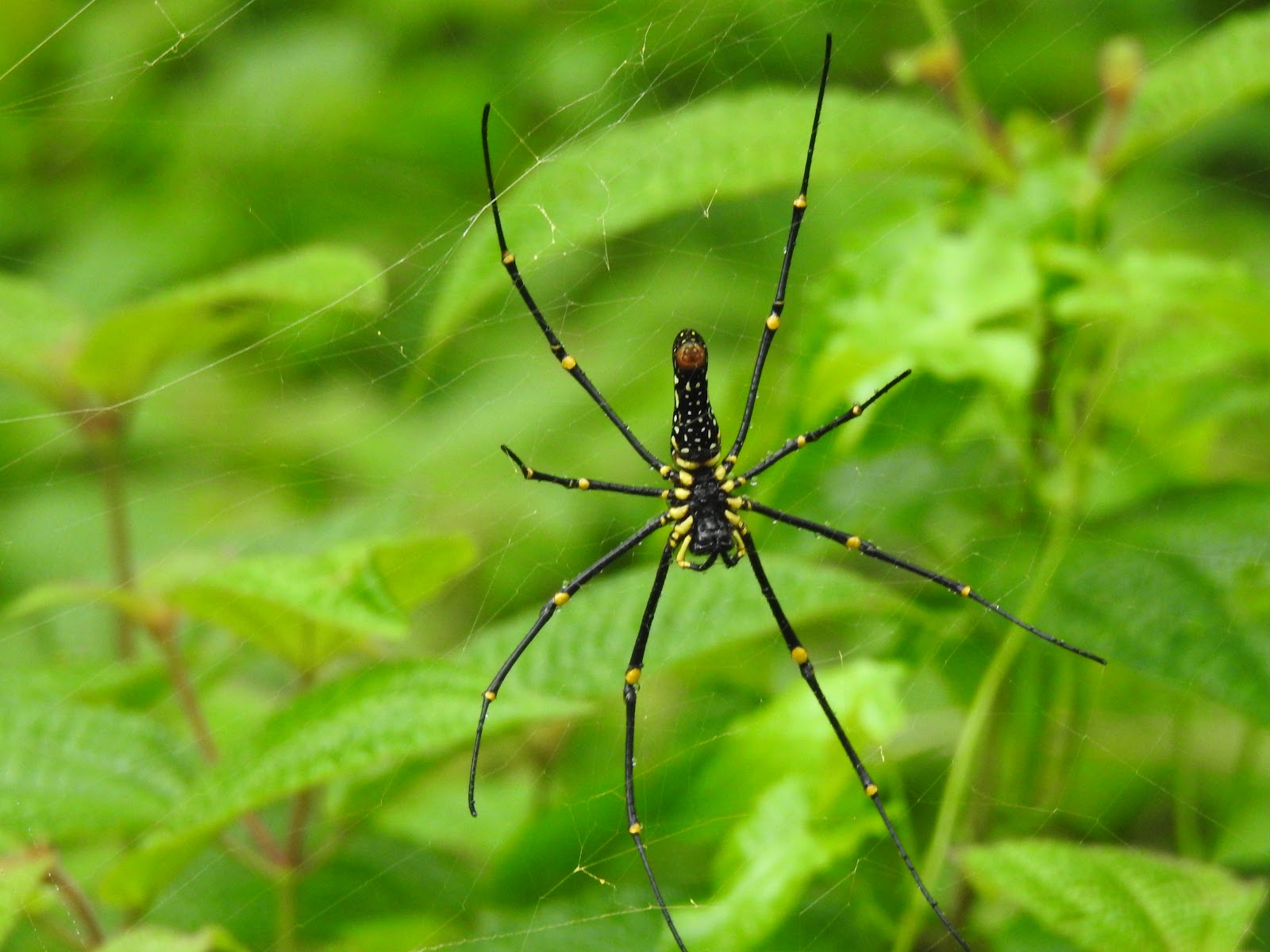 Periyar Tiger Reserve Periyar National Park