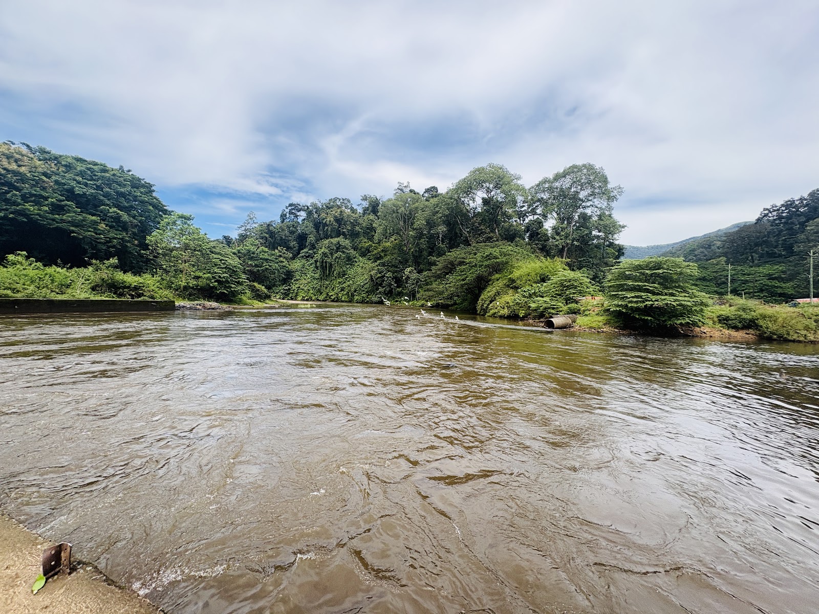 Periyar Tiger Reserve Periyar National Park