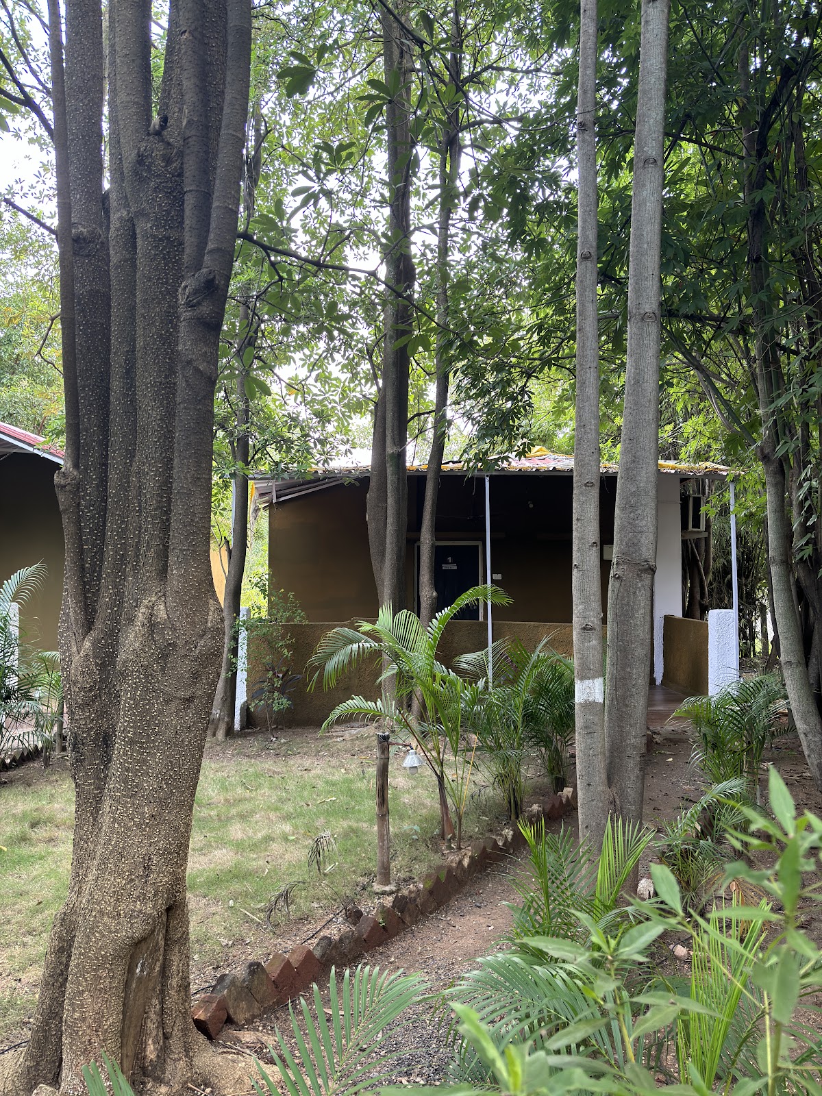 Forest Resting Meadows
