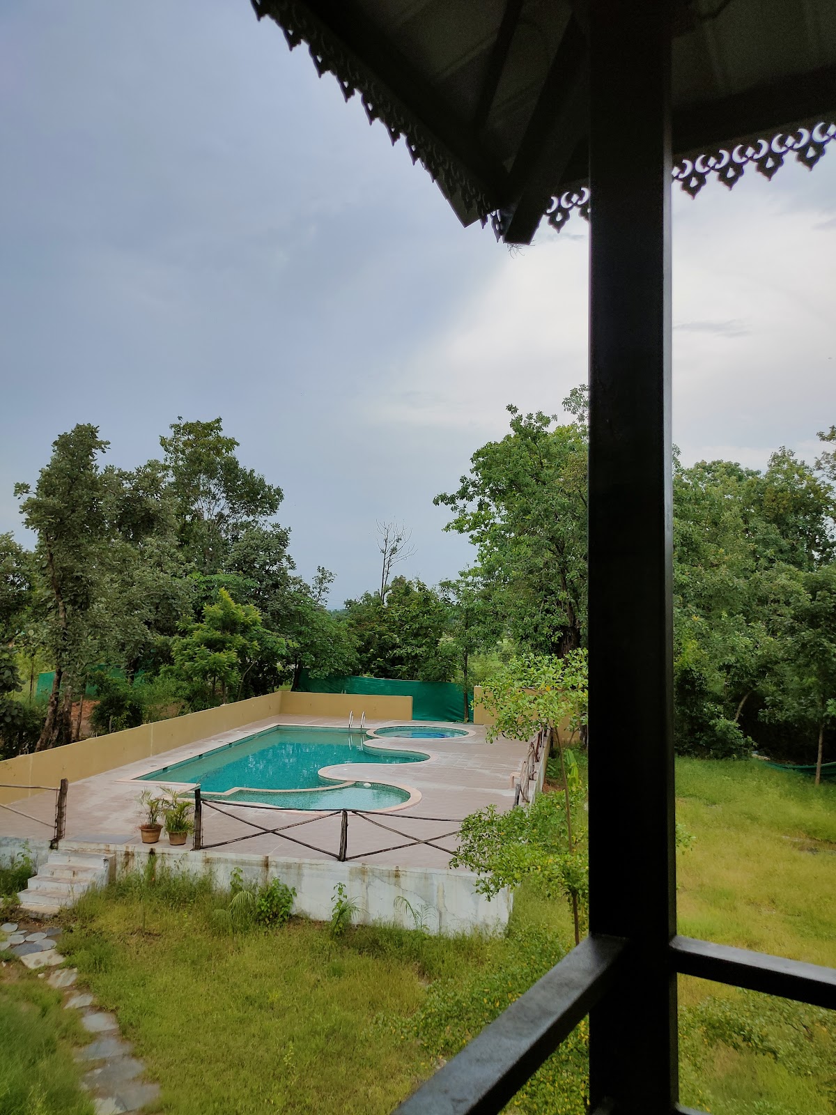 Forest Resting Meadows