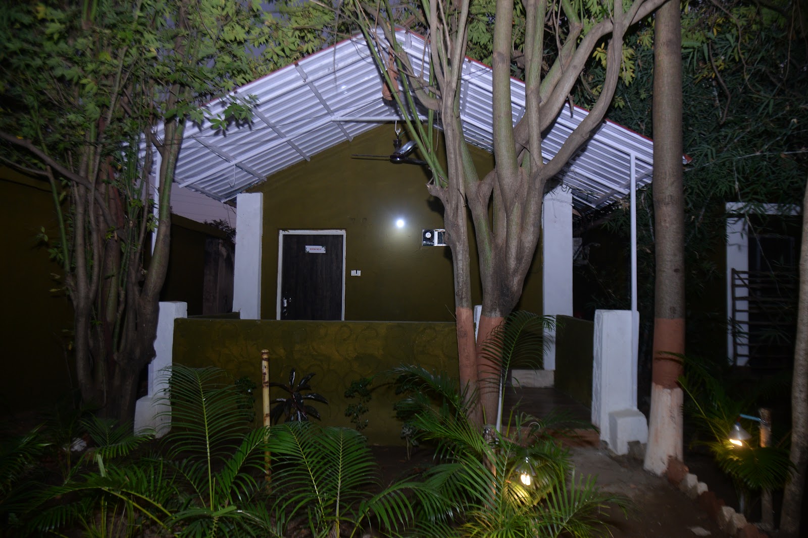 Forest Resting Meadows