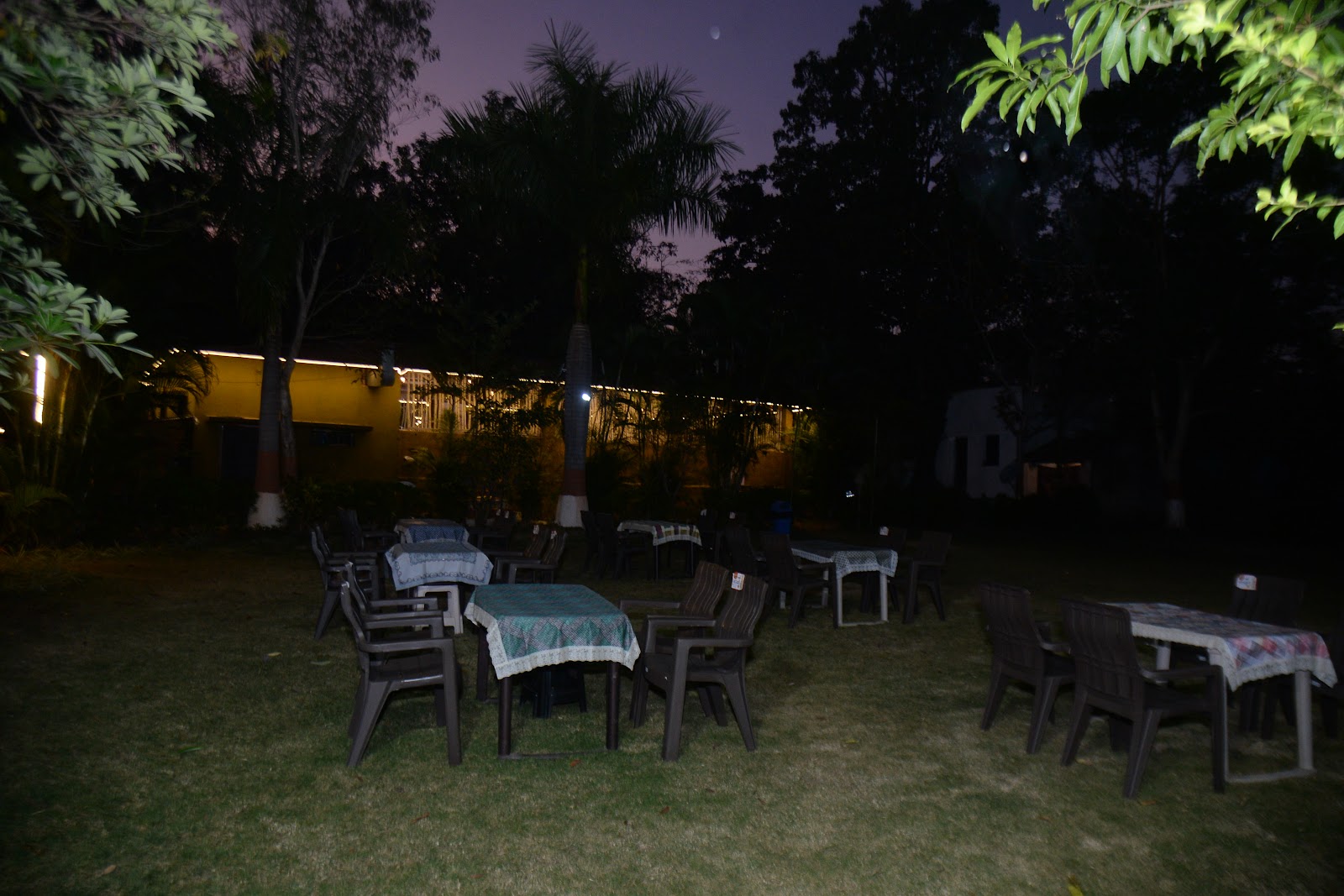 Forest Resting Meadows