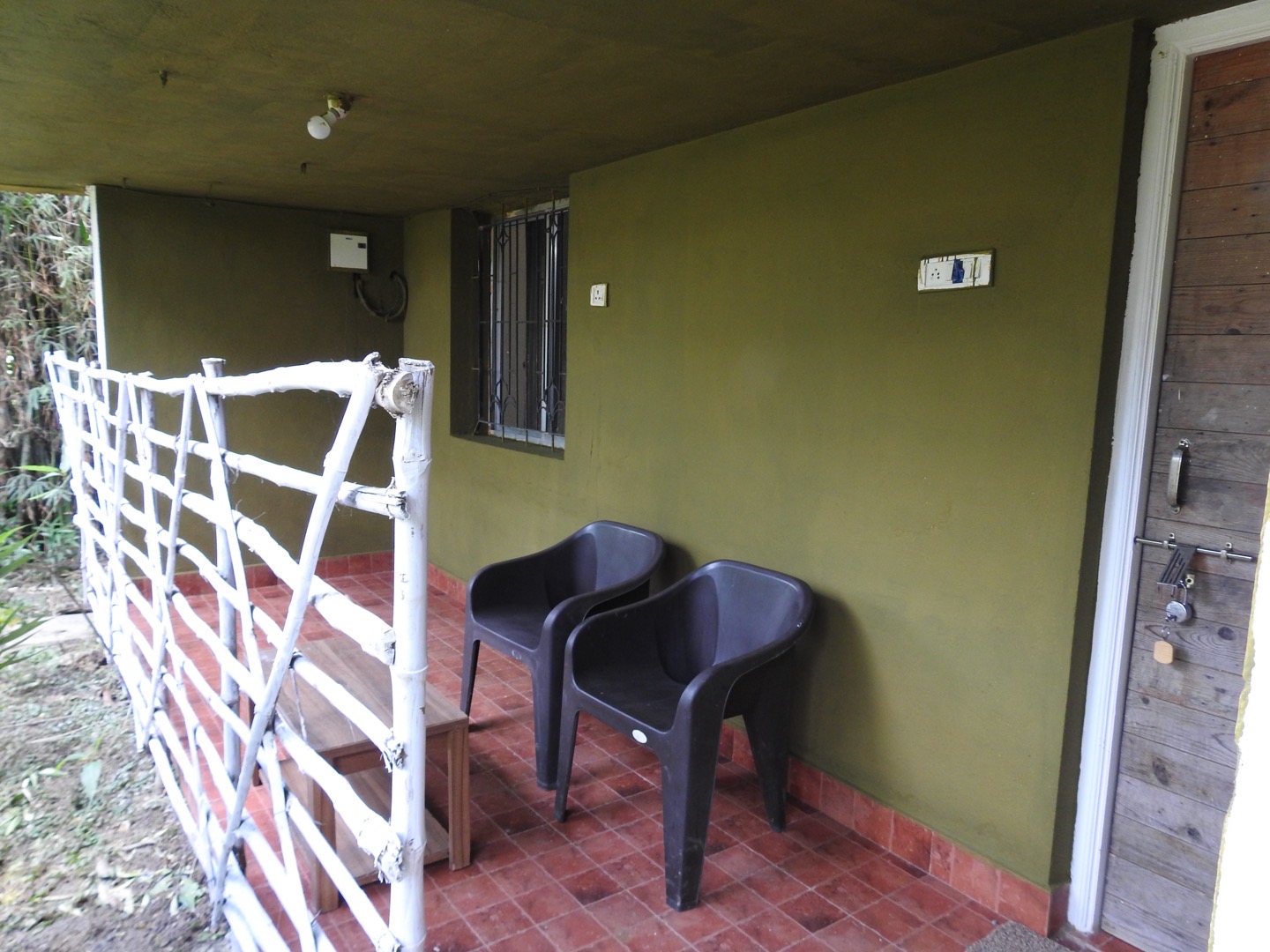 Forest Resting Meadows