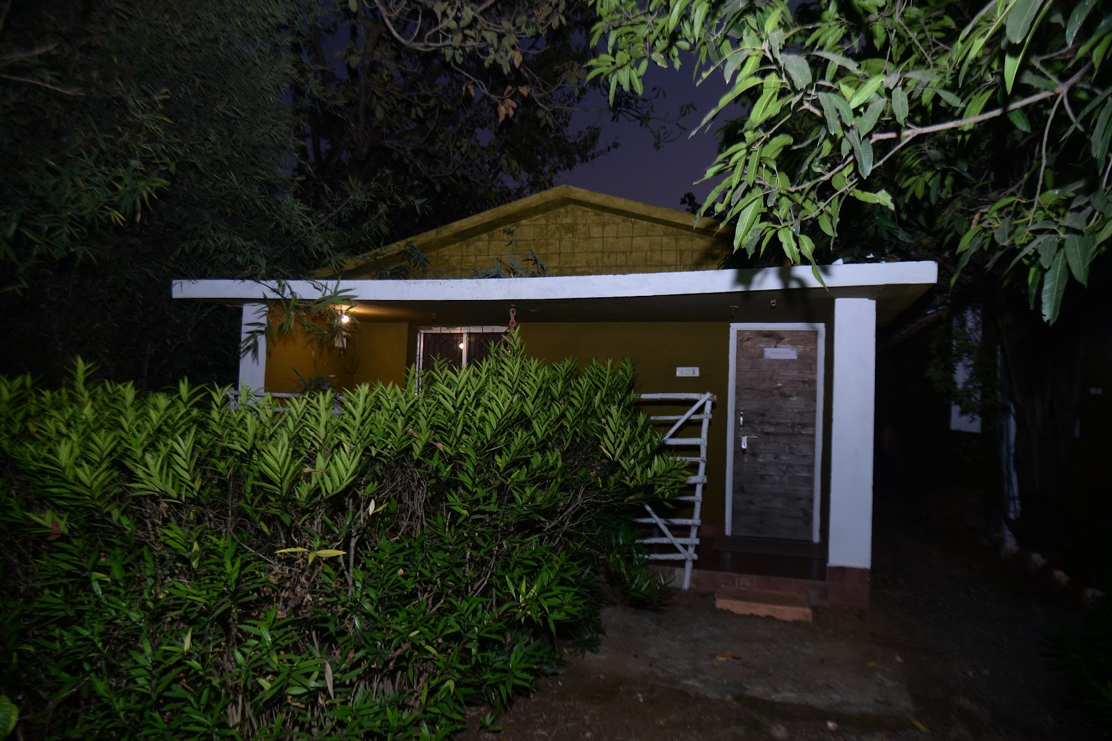 Forest Resting Meadows