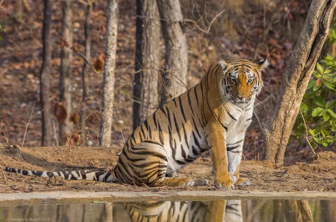 Sunset Point Pench