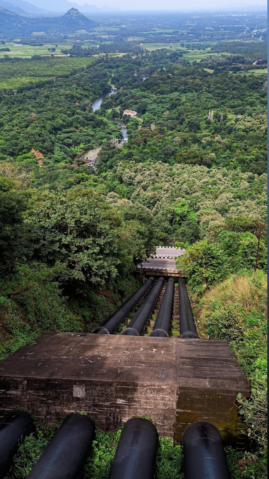 Periyar National Park - A Wildlife Sanctuary in Kerala