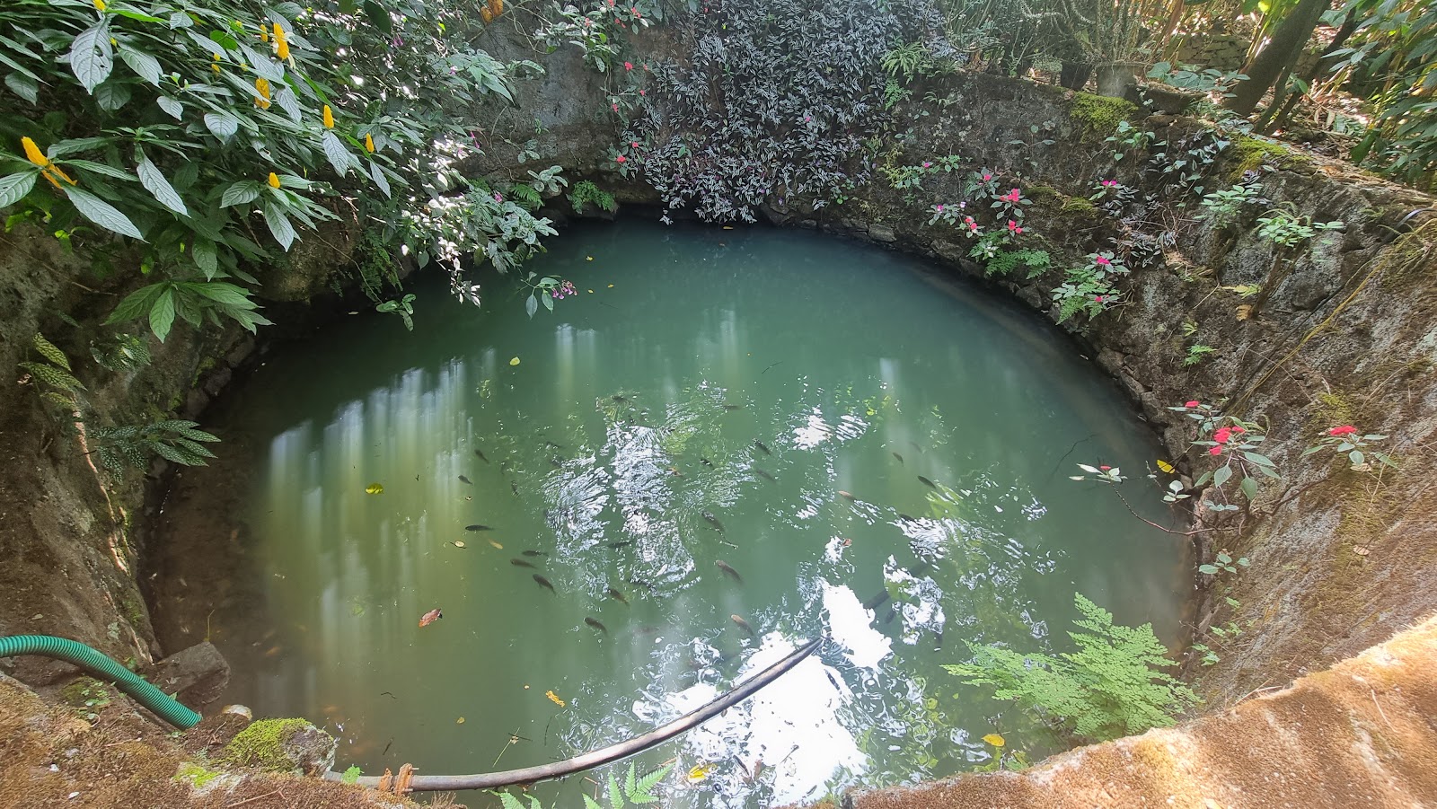 Abraham's Spice Garden