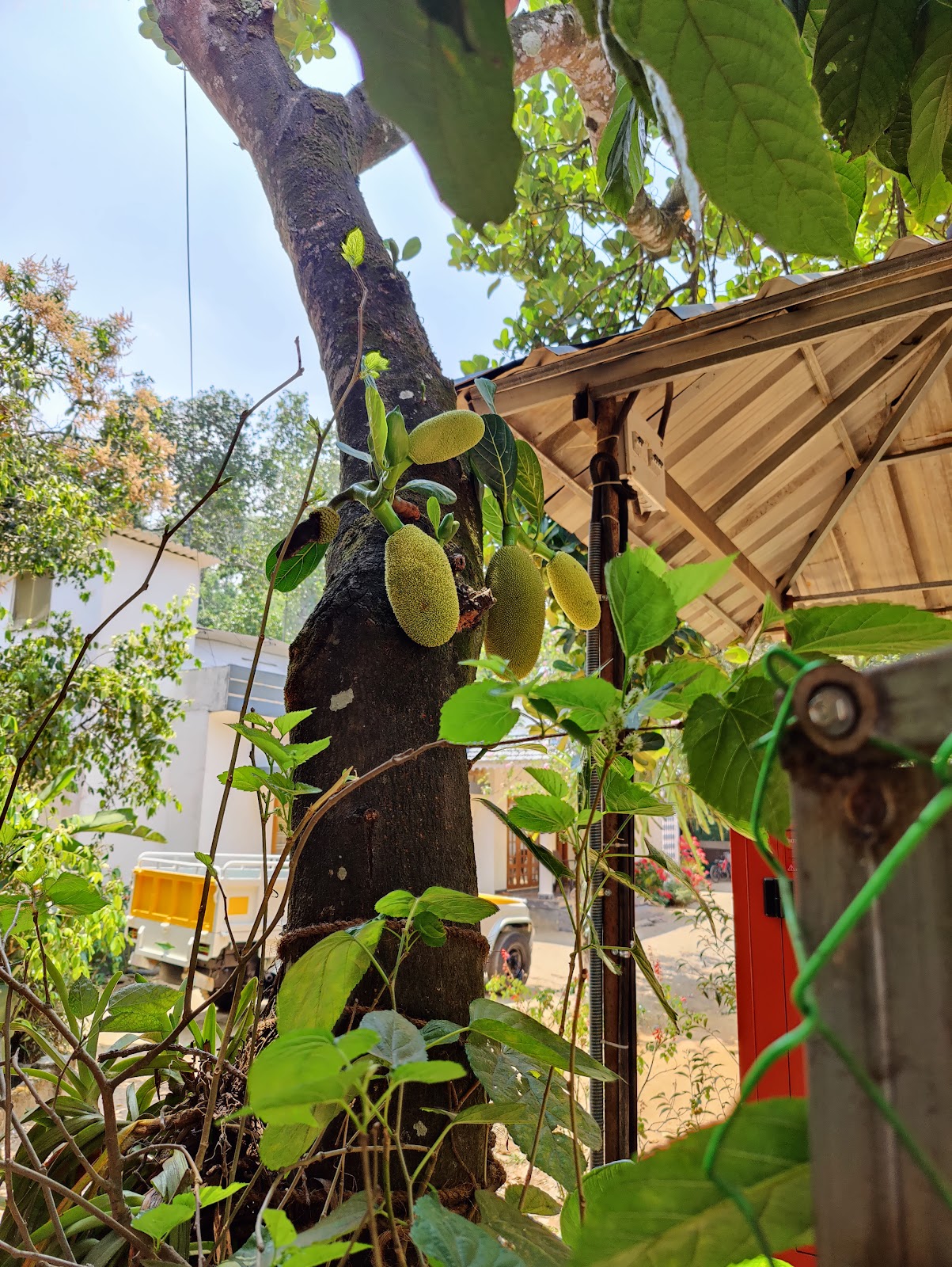 Abraham's Spice Garden