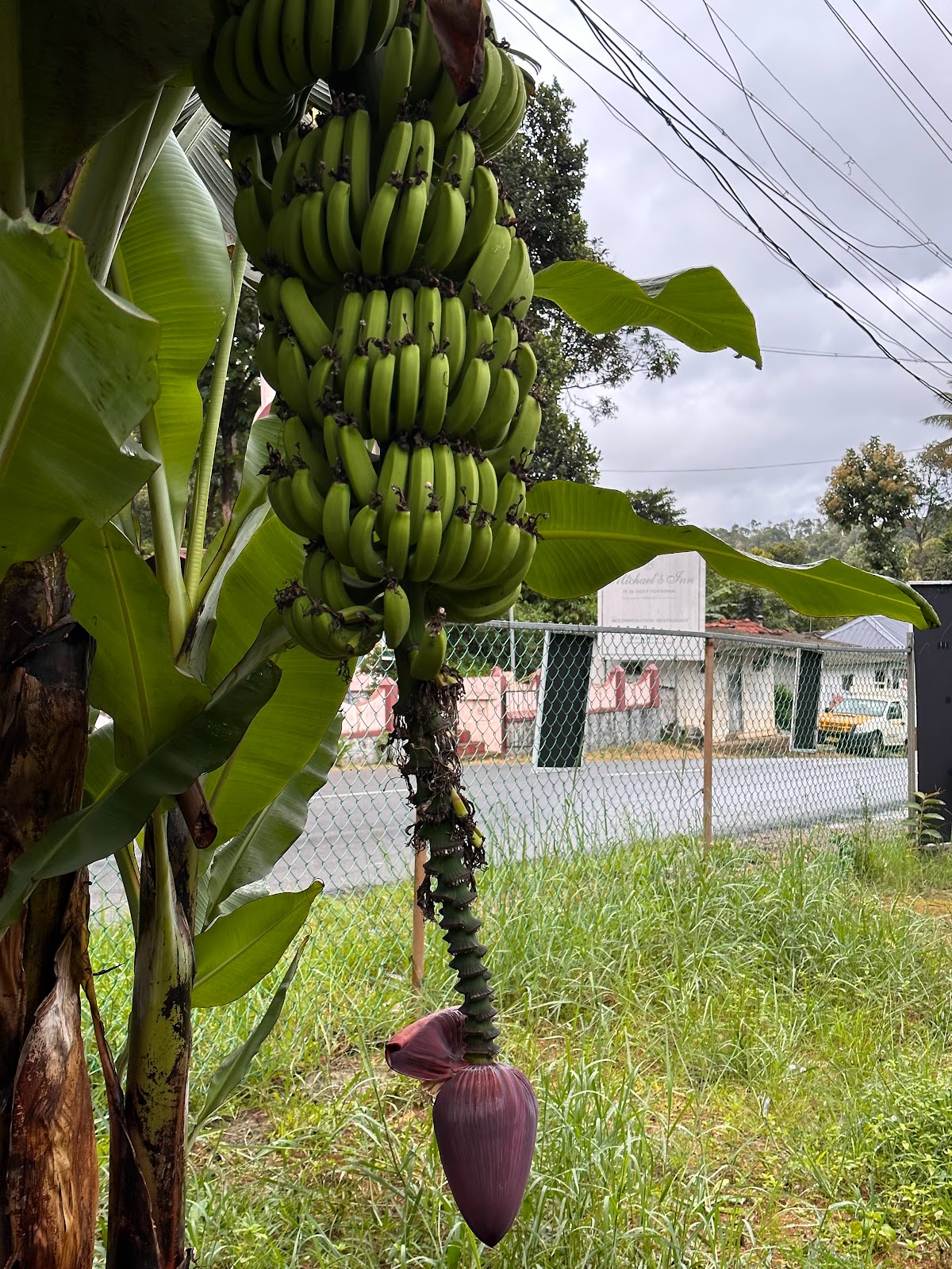 Abraham's Spice Garden