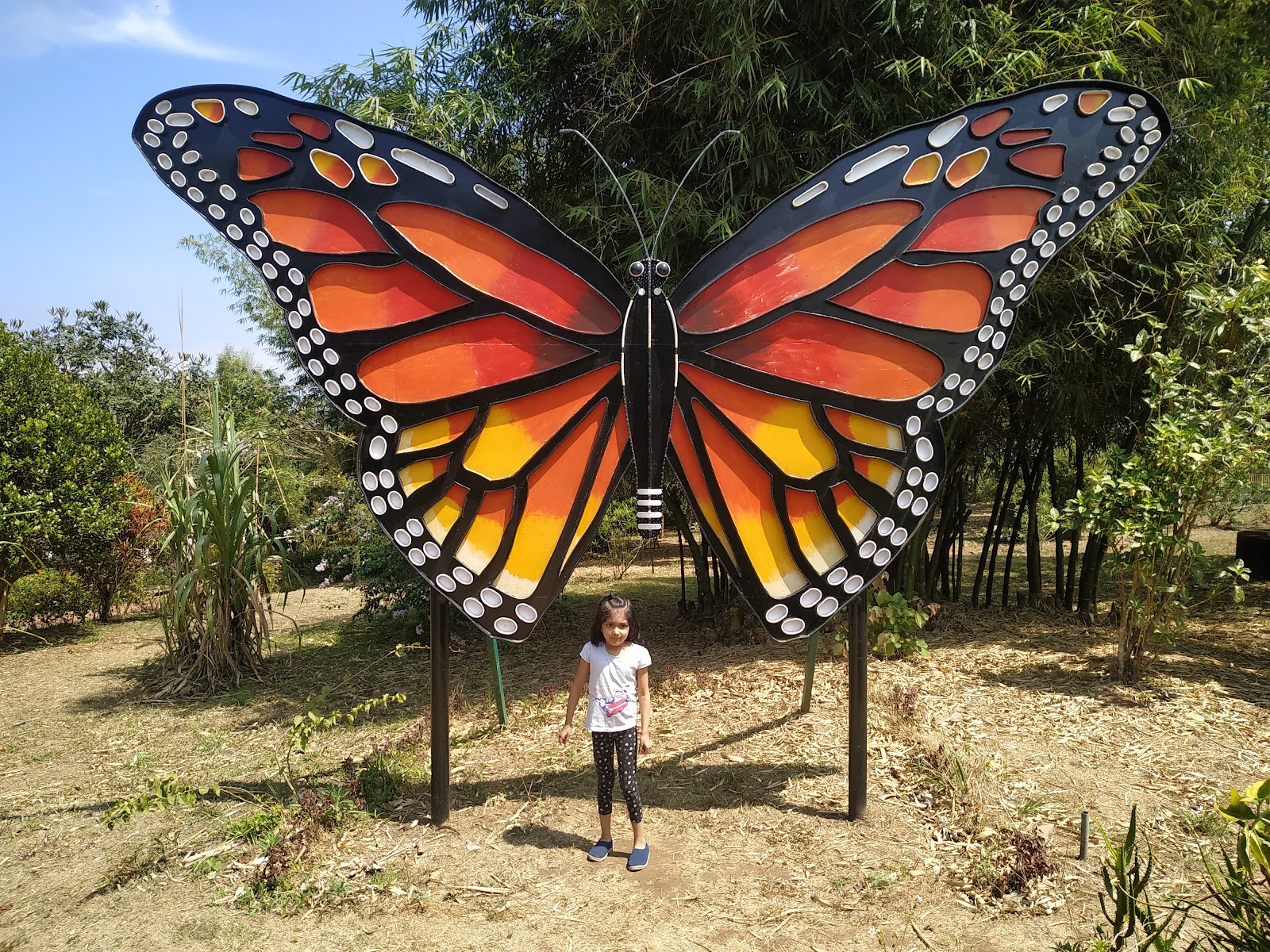 Chellarkovil Viewpoint