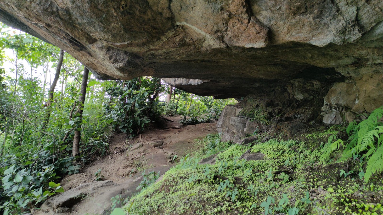 Chellarkovil Viewpoint