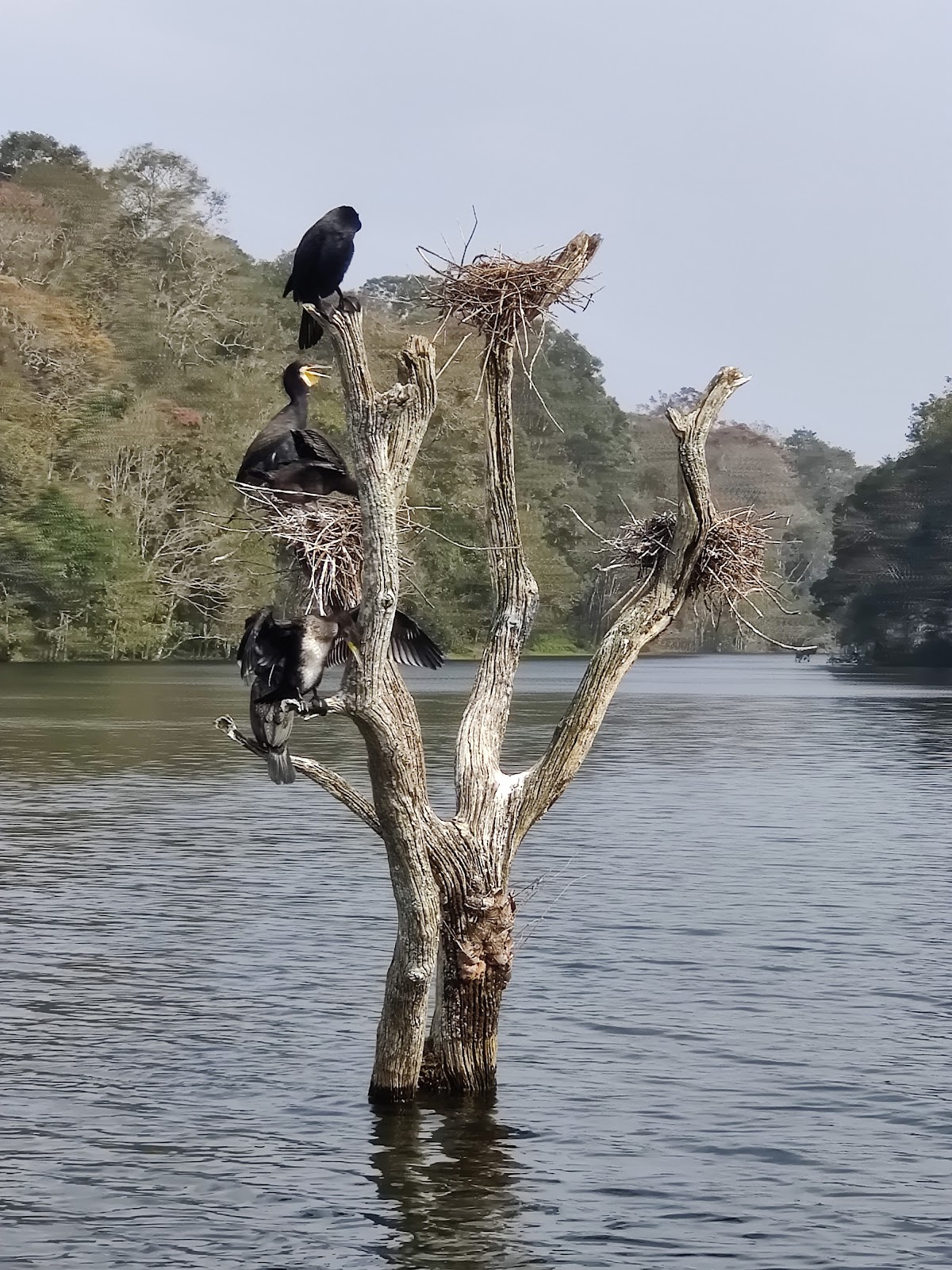 Periyar National Park