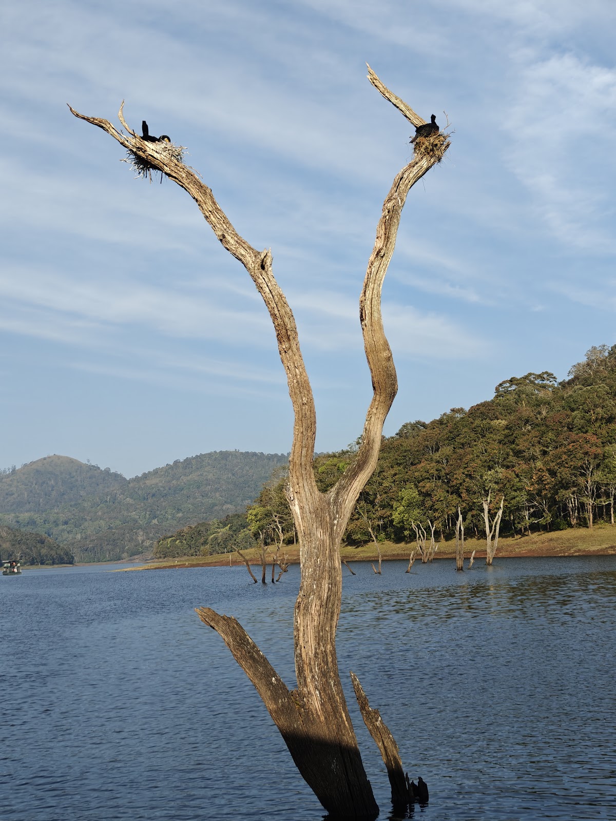 Periyar National Park